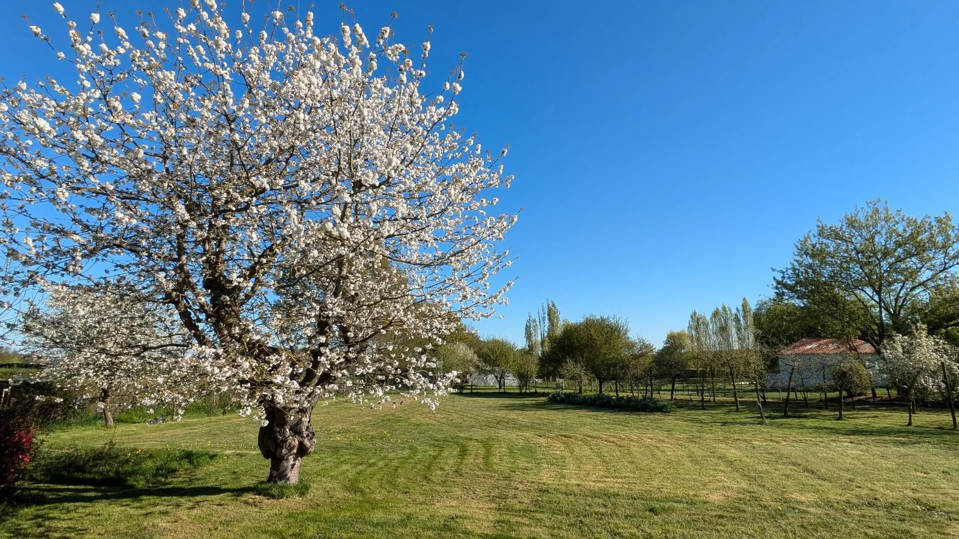 Maison 5 chambres de plain-pied à Chemillé avec grand jardin et garage 