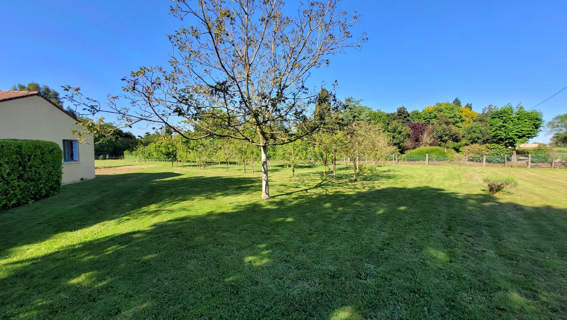 Maison 5 chambres de plain-pied à Chemillé avec grand jardin et garage 