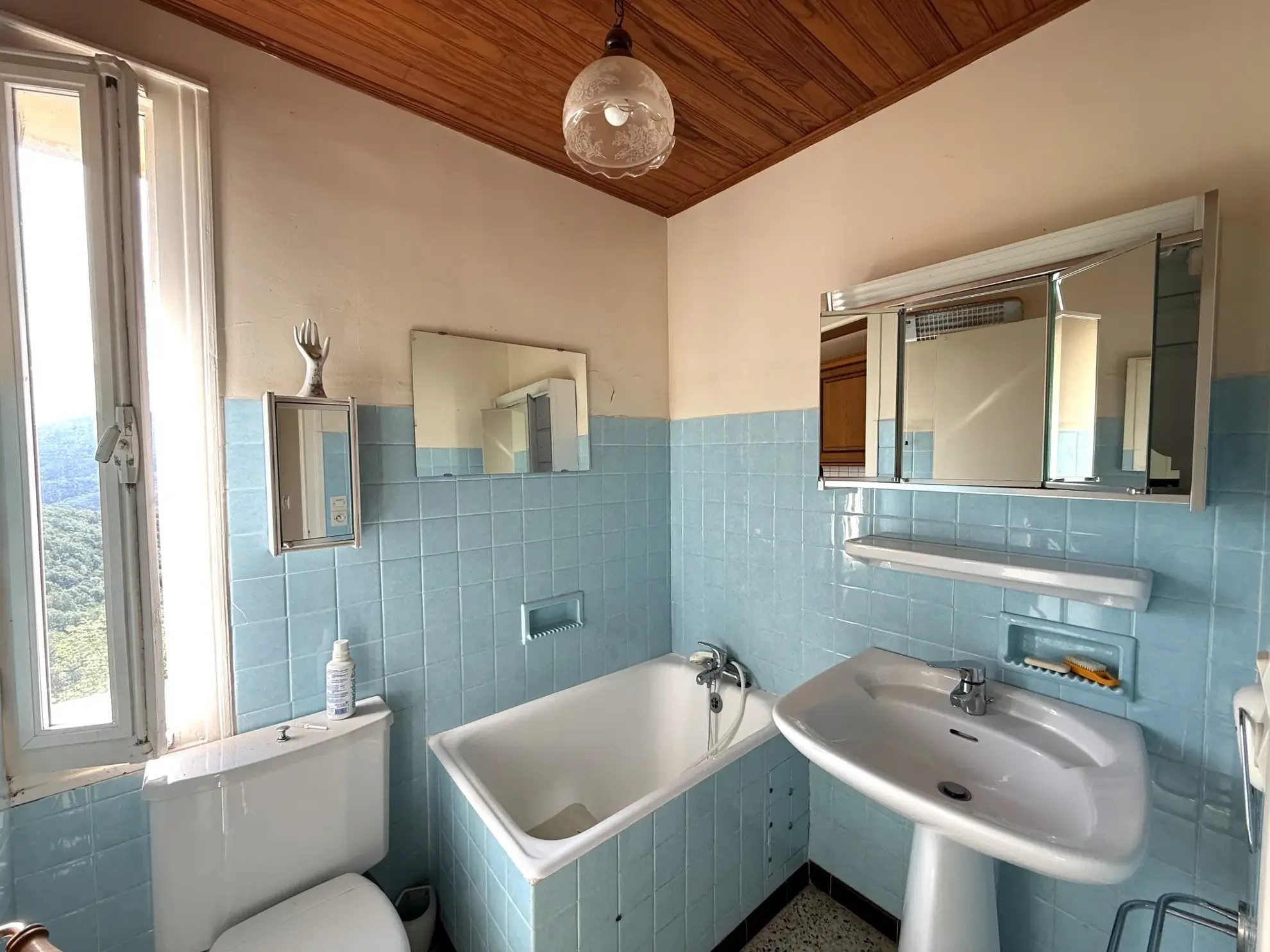 Maison lumineuse orientée plein sud avec terrasse et terrain arboré à Montferrer 