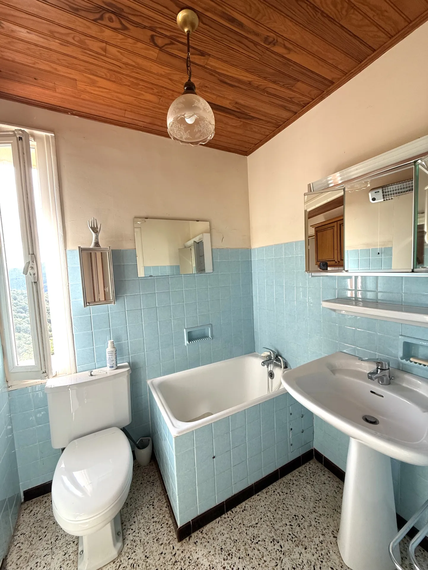 Maison lumineuse orientée plein sud avec terrasse et terrain arboré à Montferrer 