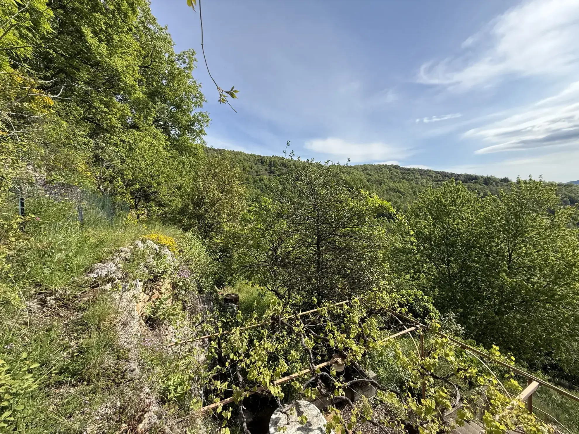 Maison lumineuse orientée plein sud avec terrasse et terrain arboré à Montferrer 
