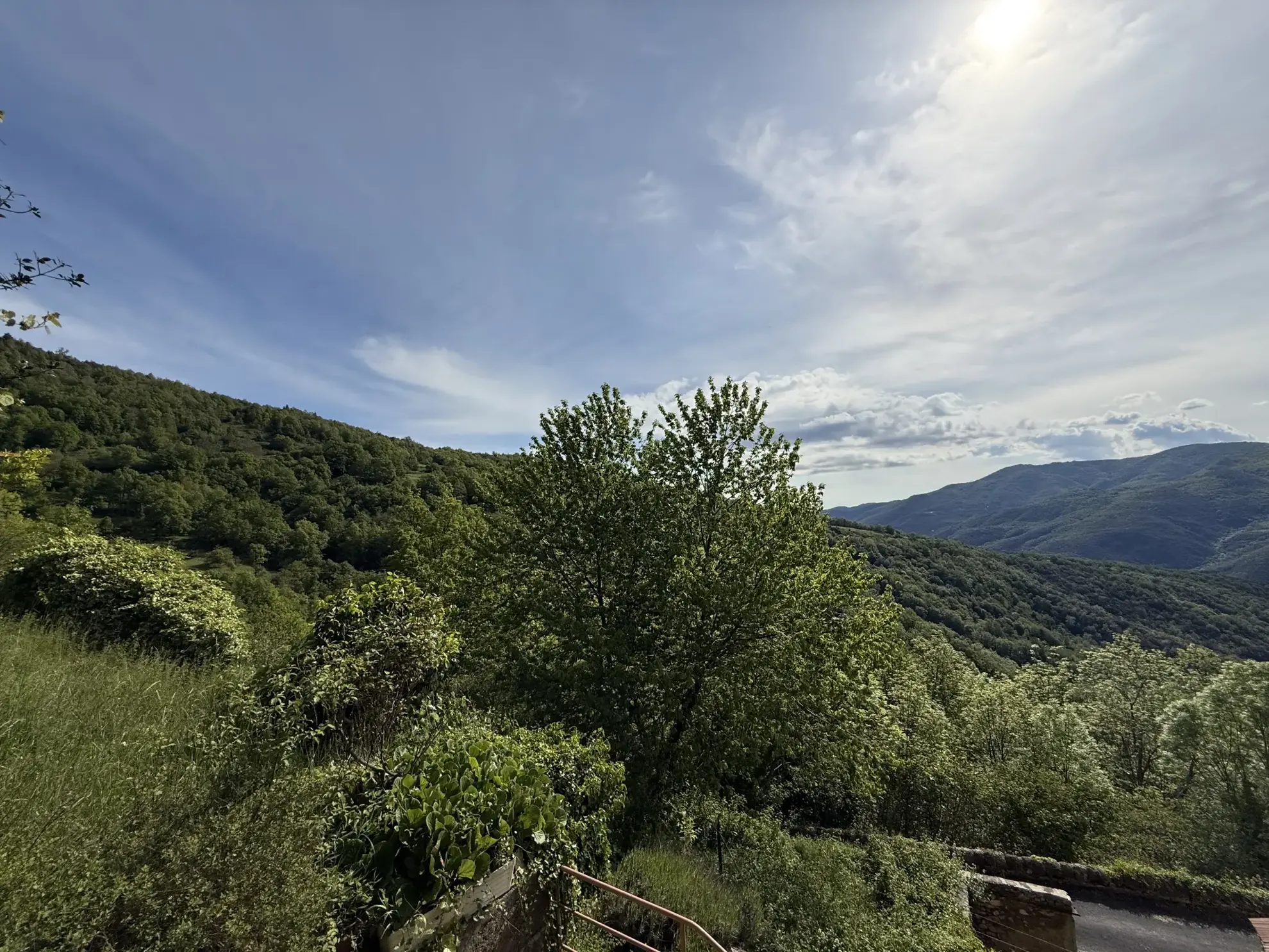 Maison lumineuse orientée plein sud avec terrasse et terrain arboré à Montferrer 