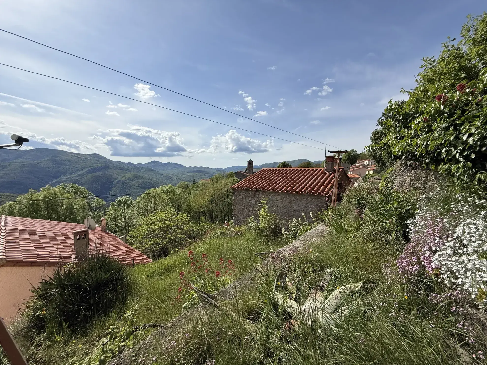 Maison lumineuse orientée plein sud avec terrasse et terrain arboré à Montferrer 