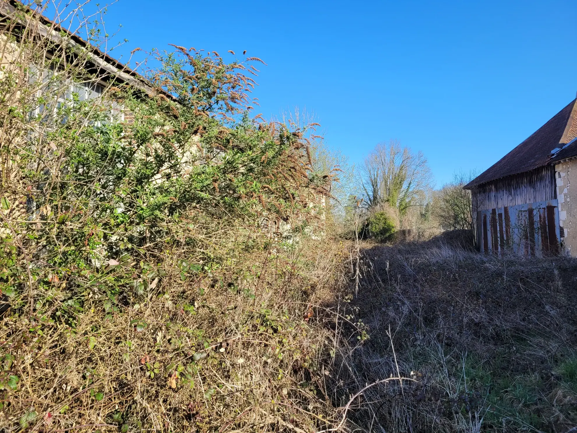 Grand bâtiment ancien de 600 m² à rénover à Neuville-sur-Vanne 