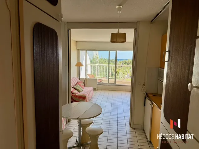 Studio avec Vue Mer, Terrasse et Parking à La Grande Motte 