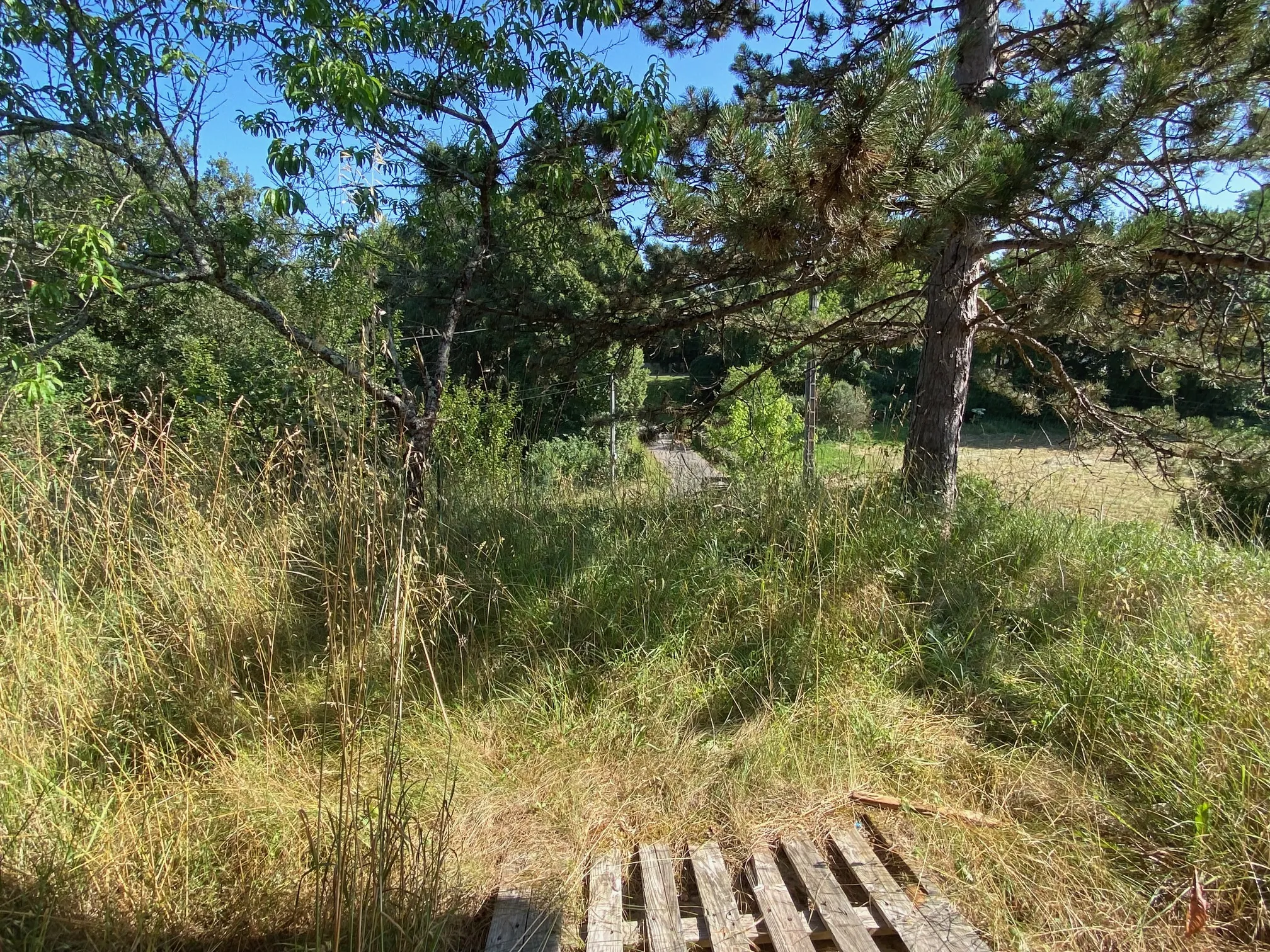 Ensemble immobilier à réhabiliter à Lacapelle Biron avec 4000 m² de terrain 