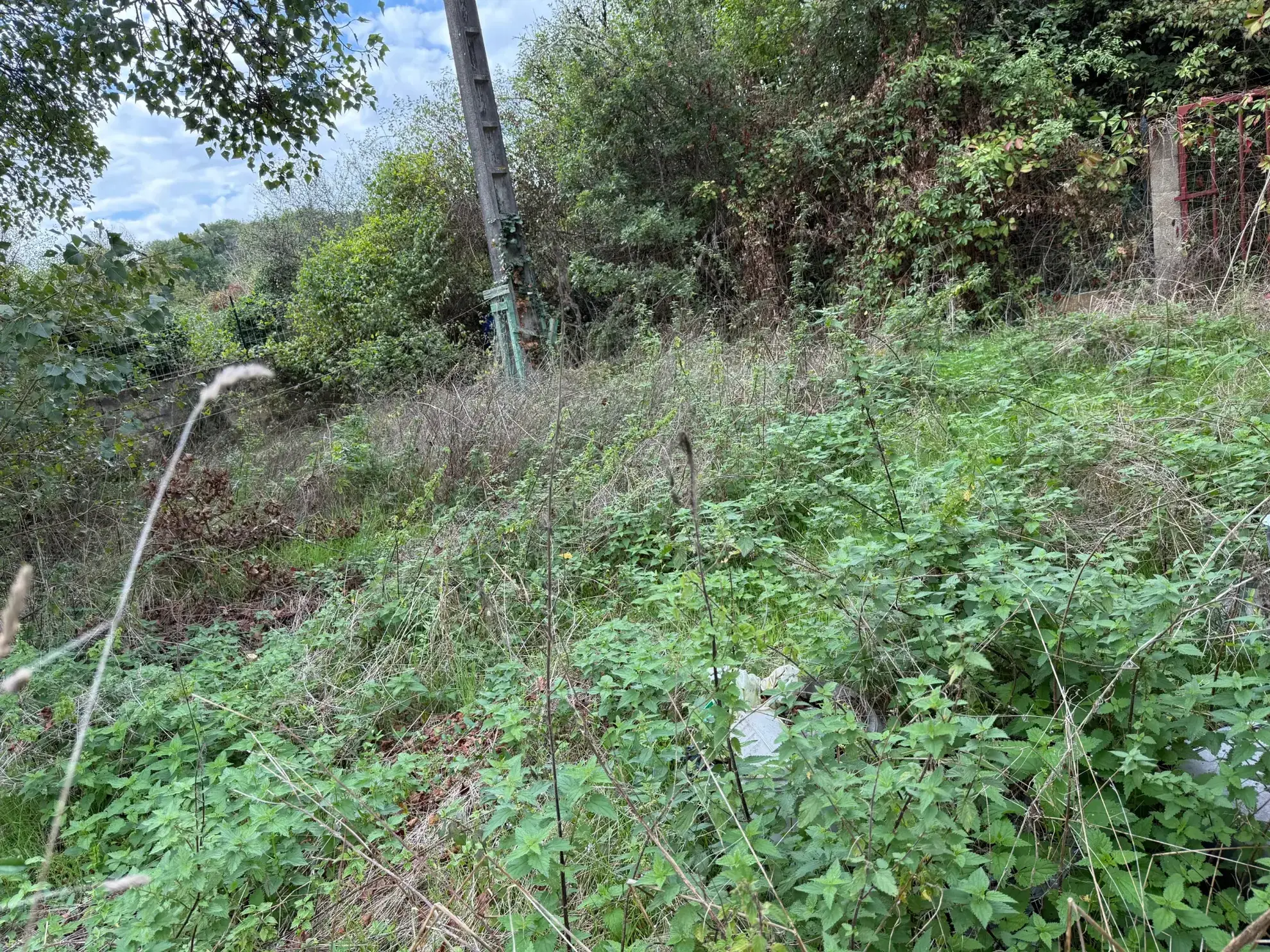 Belle propriété à Lacapelle Biron avec deux maisons, terrain de 4000 m² et multiples possibilités d’aménagement 