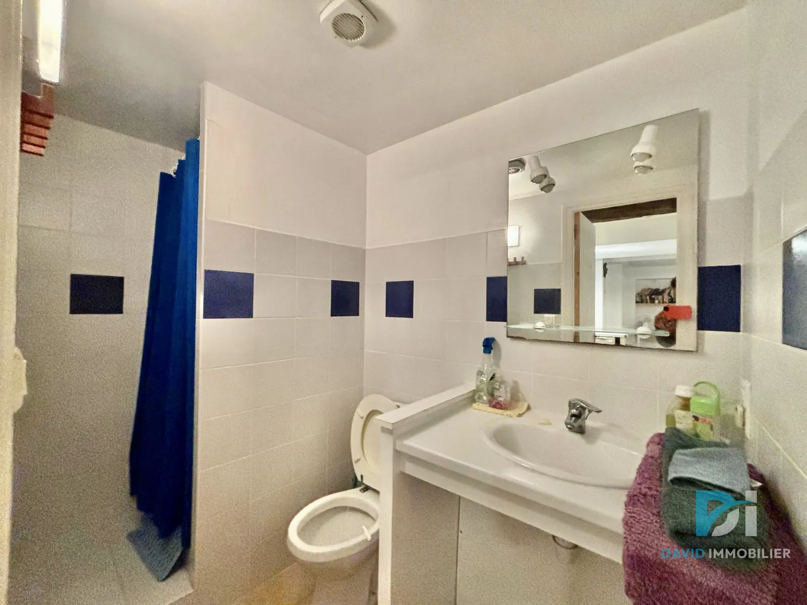 Large ensemble de deux maisons rénovées avec terrasse et garage à Alignan-du-Vent 