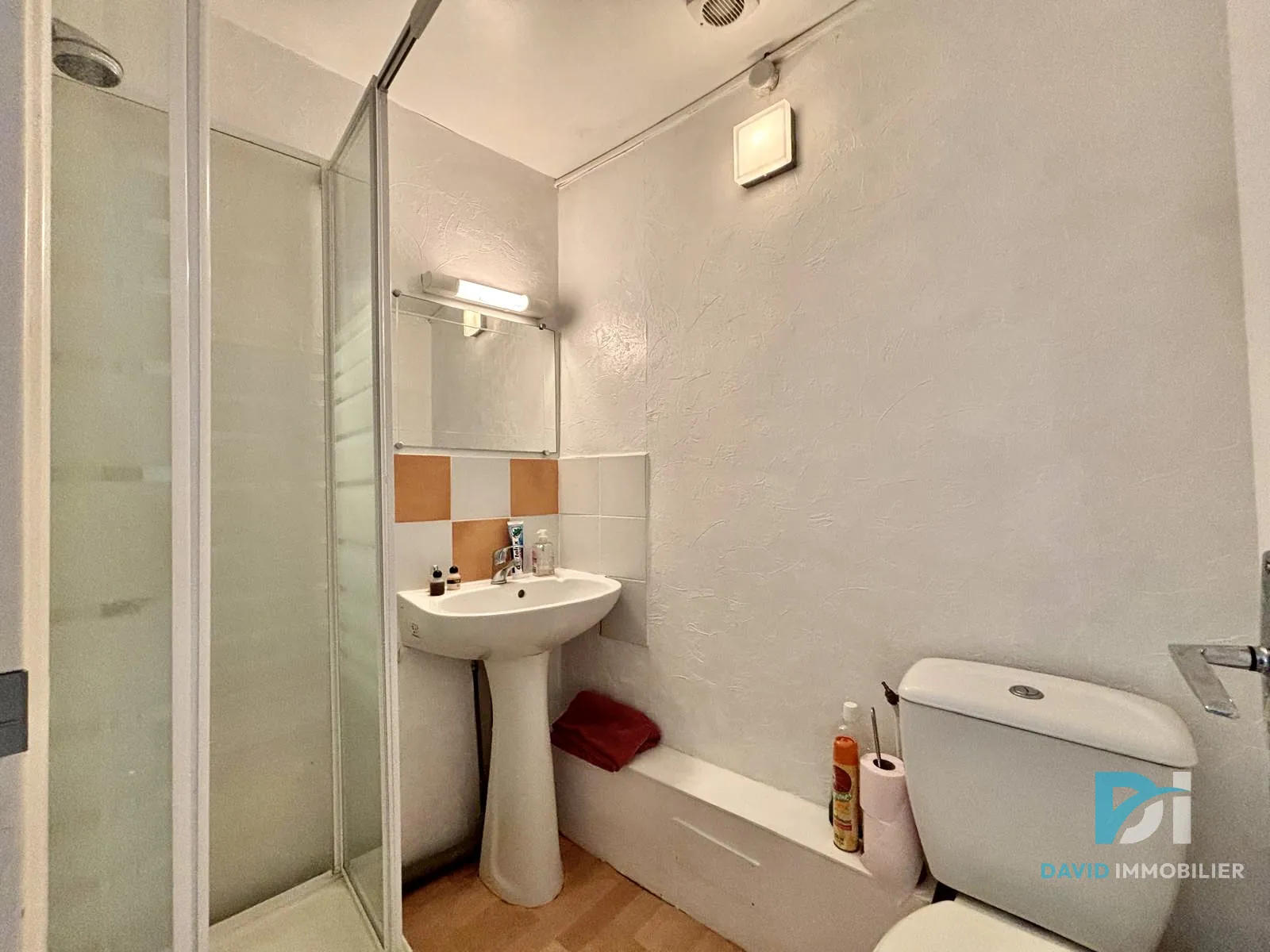 Large ensemble de deux maisons rénovées avec terrasse et garage à Alignan-du-Vent 