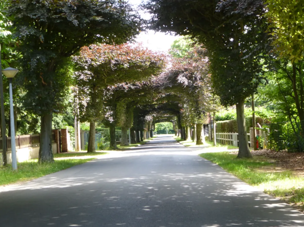 Terrain constructible de 844 m² à Saint-Fargeau Village proche commodités 