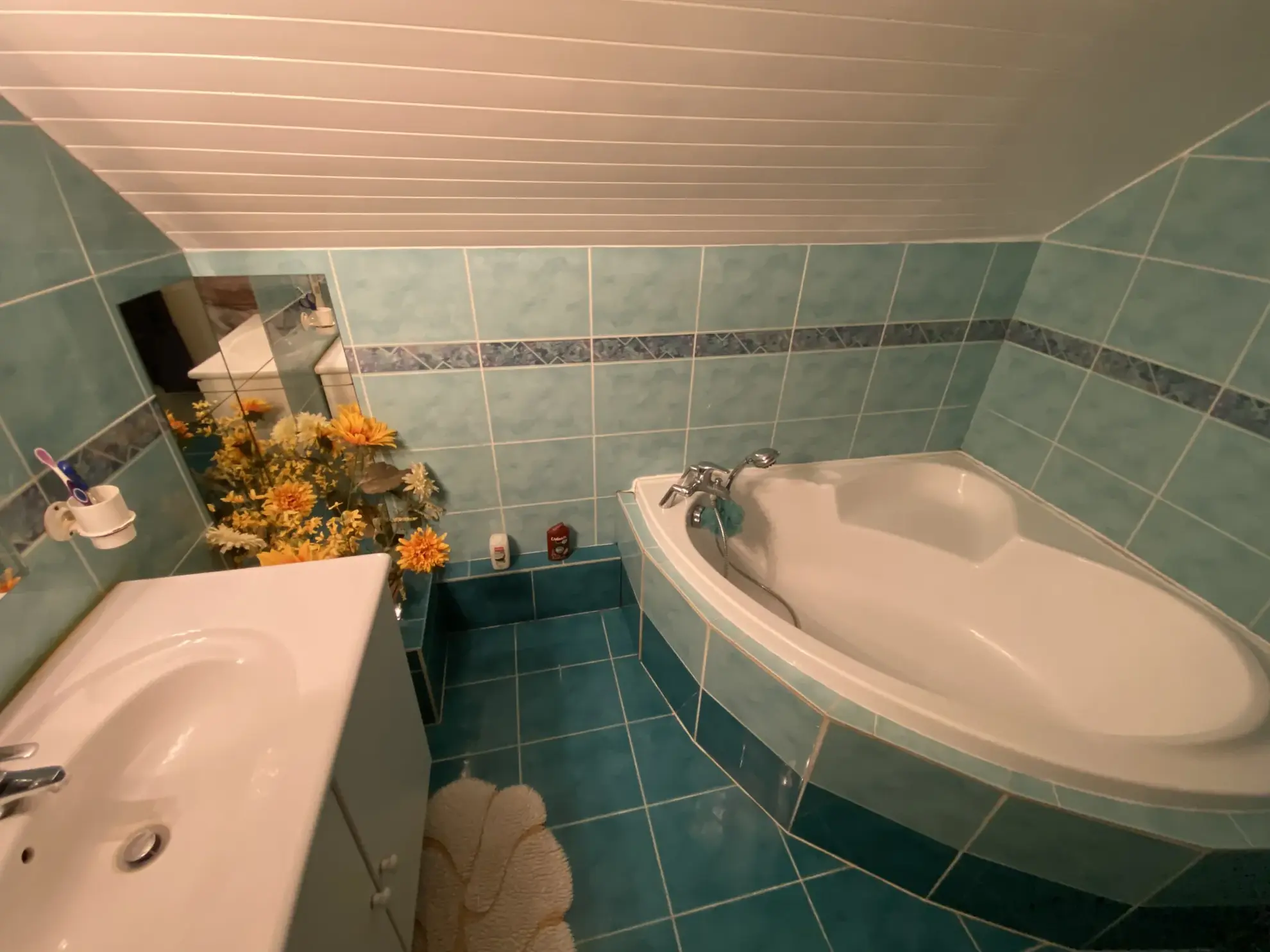 Charmante maison Arcachonnaise à Bazas de 108 m² avec garage et cave 