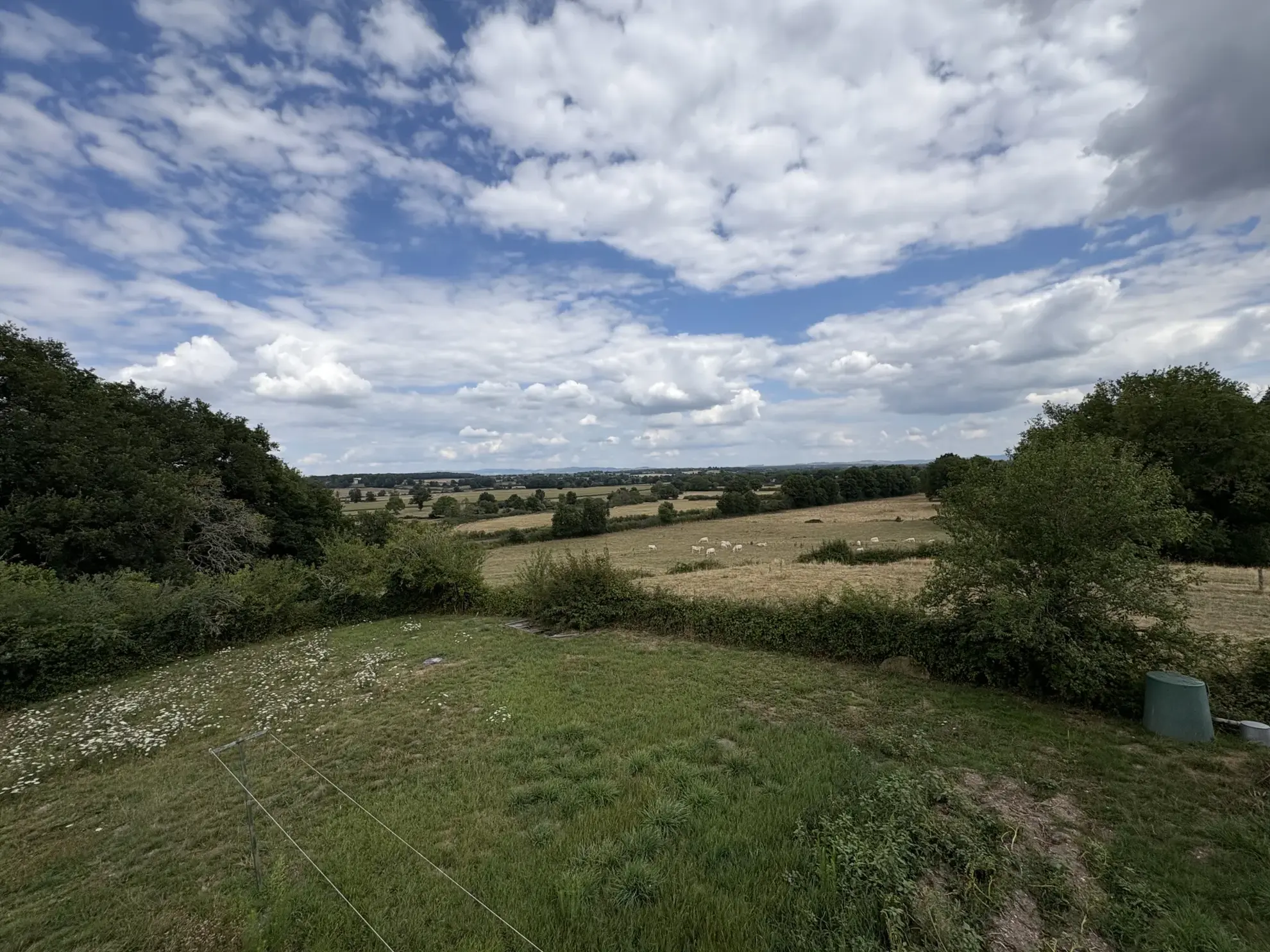 Maison de campagne isolée à Cercy-la-Tour avec terrain arboré et potentiel d'aménagement 