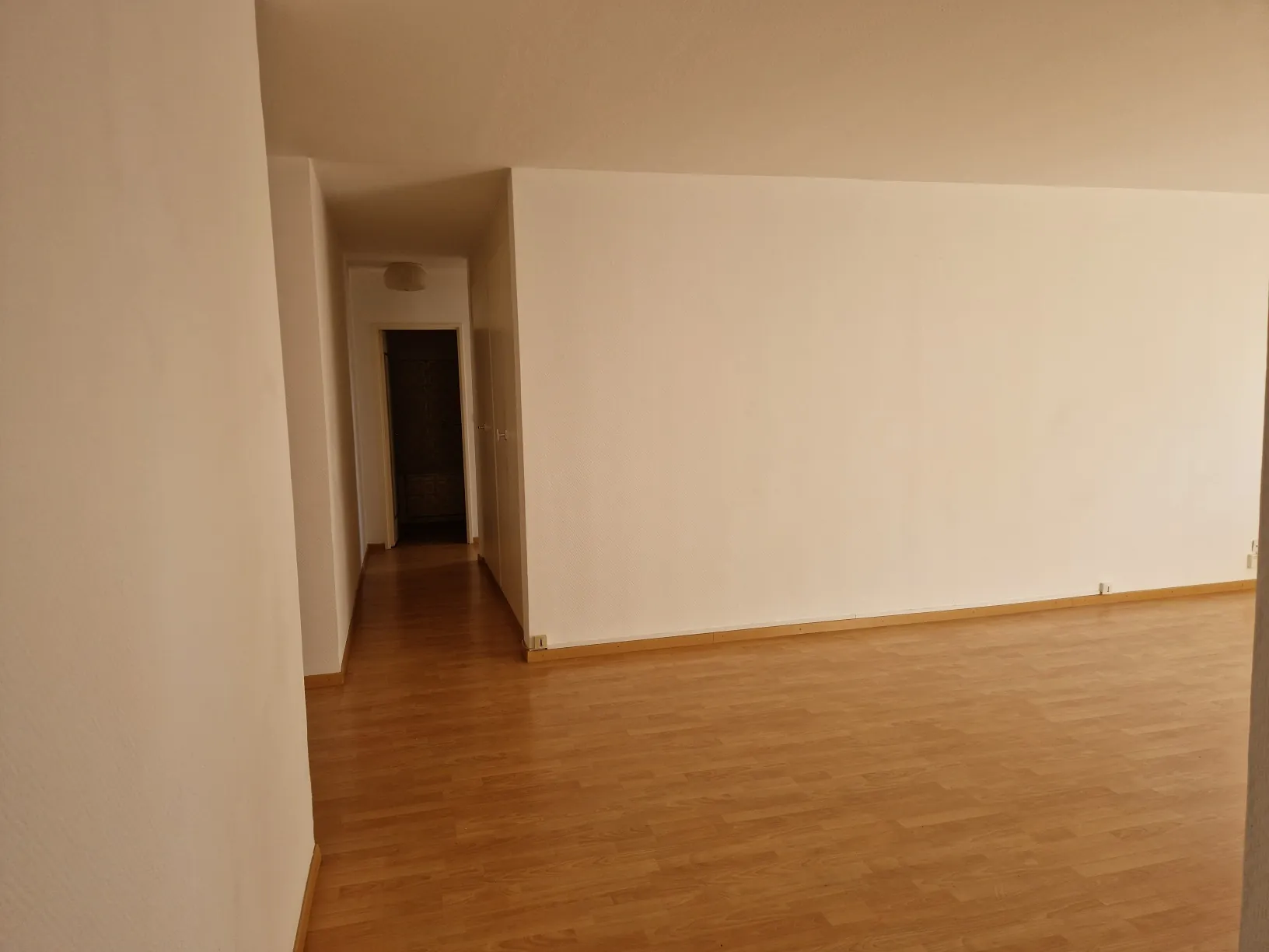 Appartement spacieux 3-4 pièces à vendre à Strasbourg Esplanade 