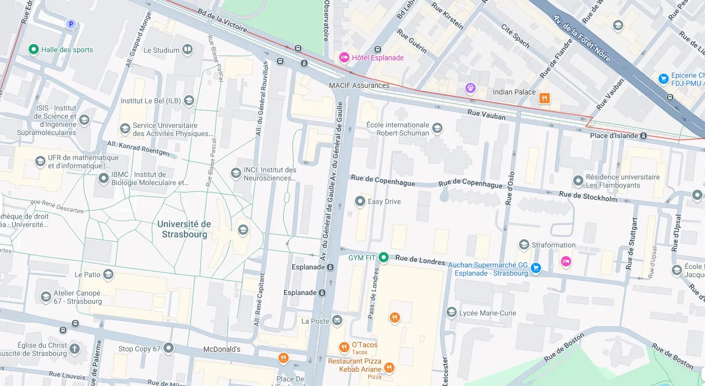 Appartement spacieux 3-4 pièces à vendre à Strasbourg Esplanade 