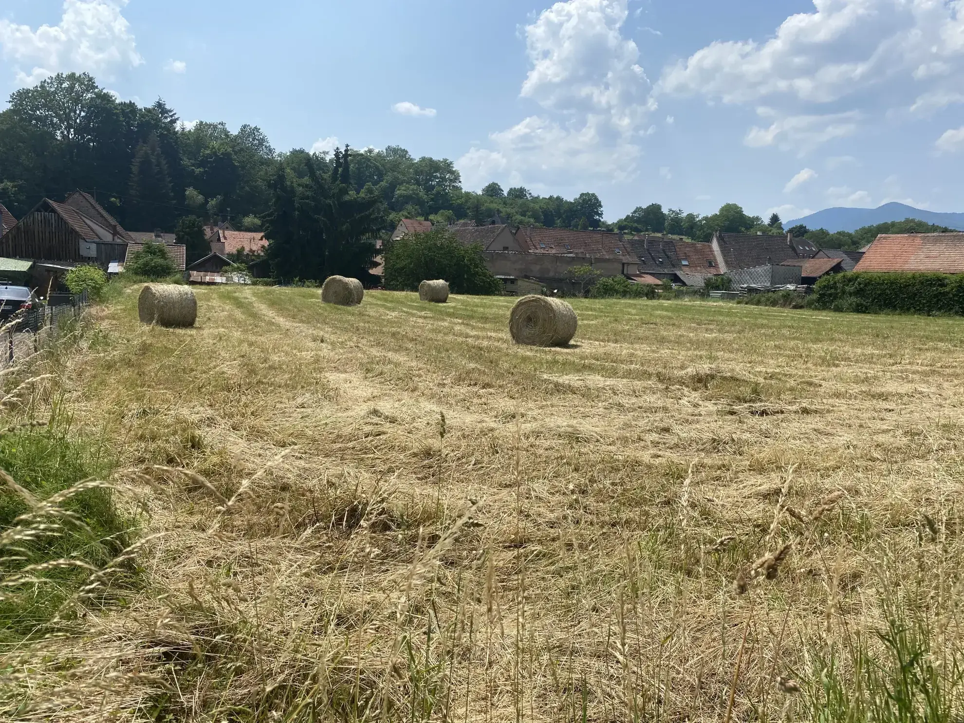 Terrain constructible à Niederhaslach en Alsace à vendre, non viabilisé 