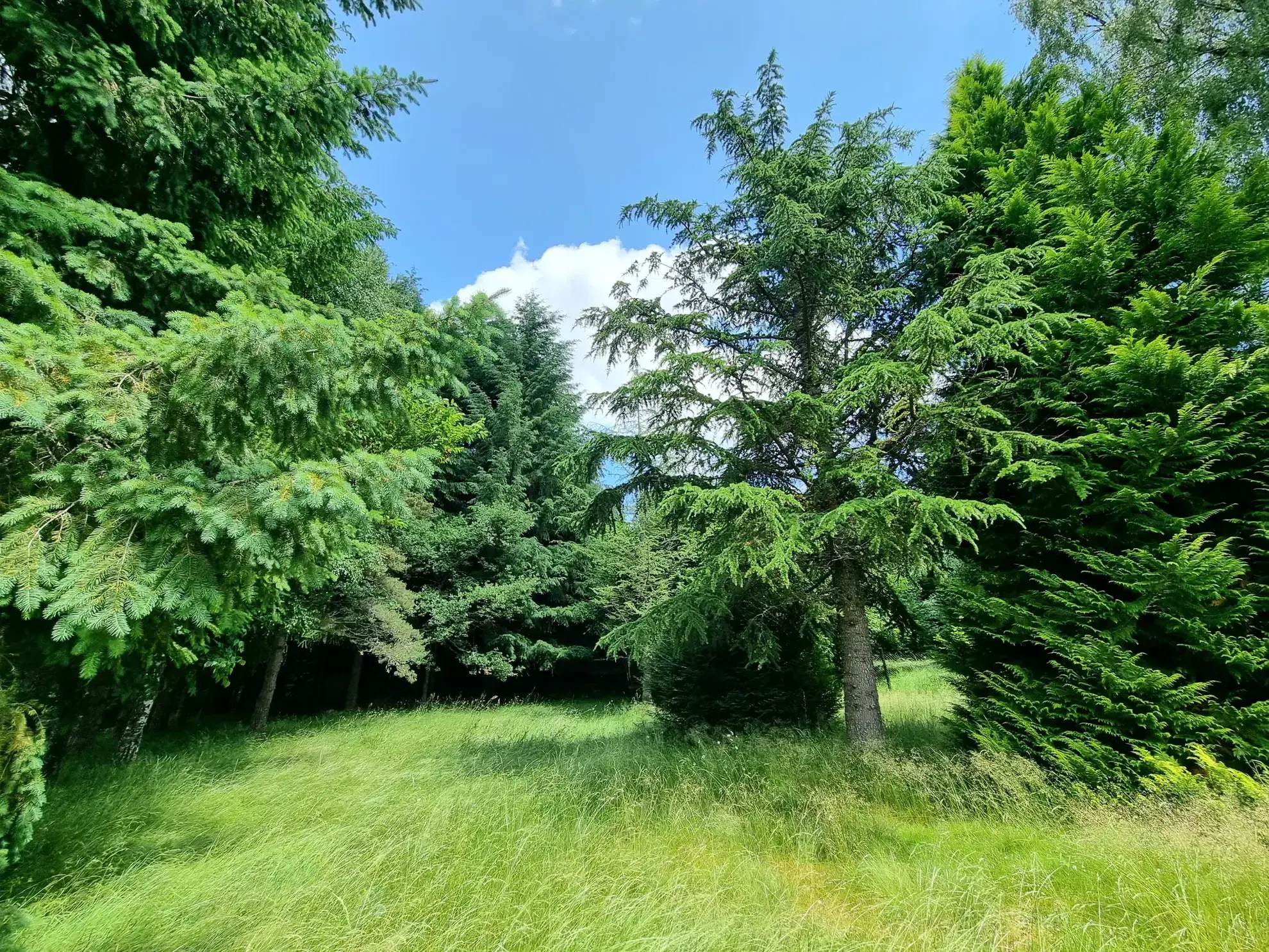 Corps de ferme à rénover de 172 m² à Arlanc, au cœur de la nature 