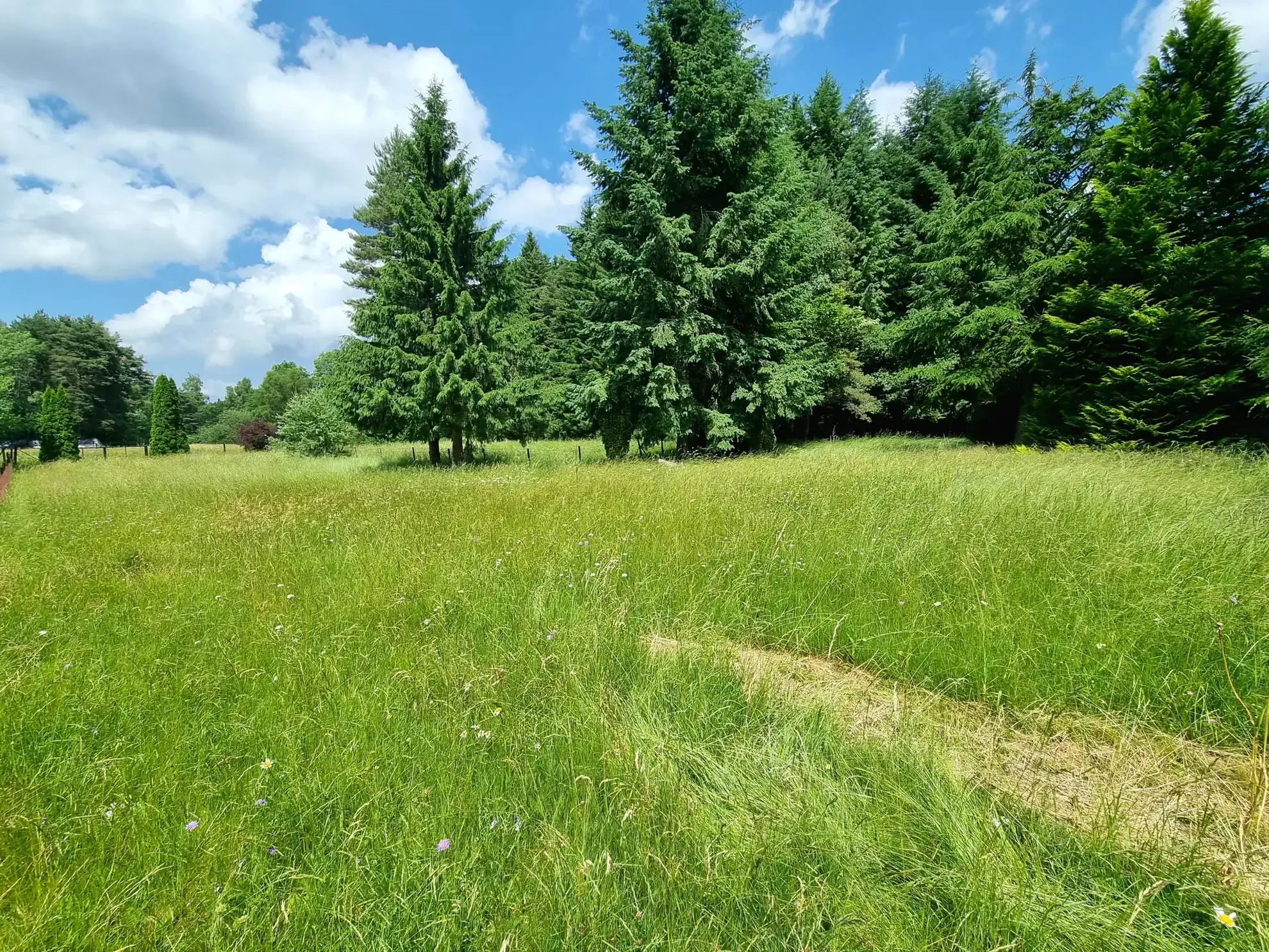 Corps de ferme à rénover de 172 m² à Arlanc, au cœur de la nature 