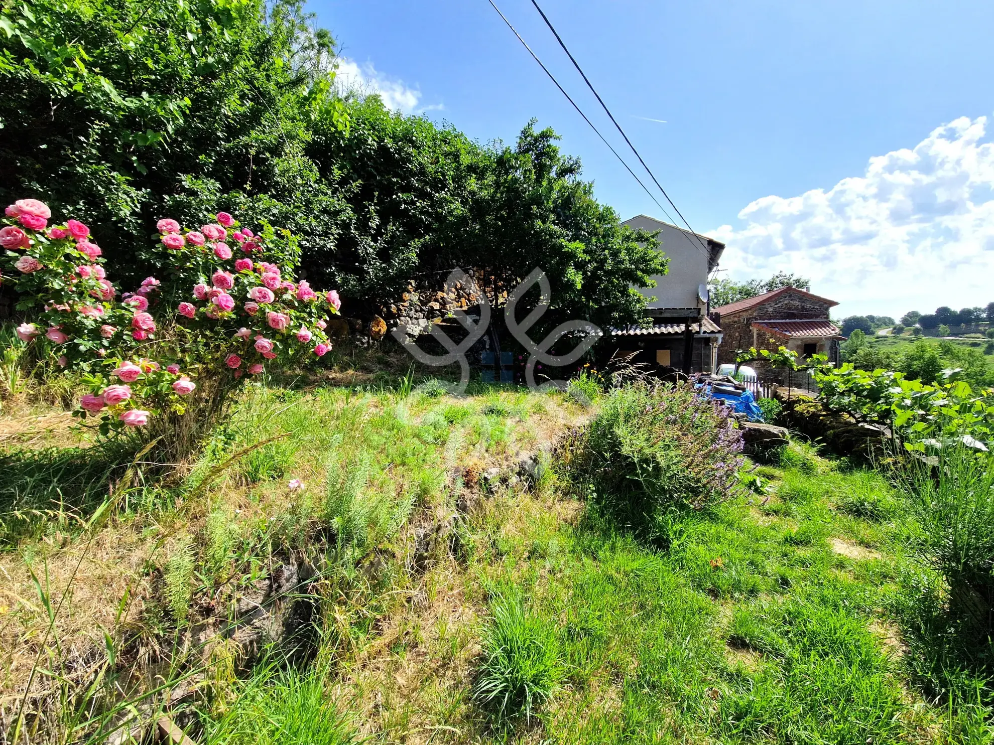 Maison de campagne avec vue dégagée à Saint Jean de Nay 