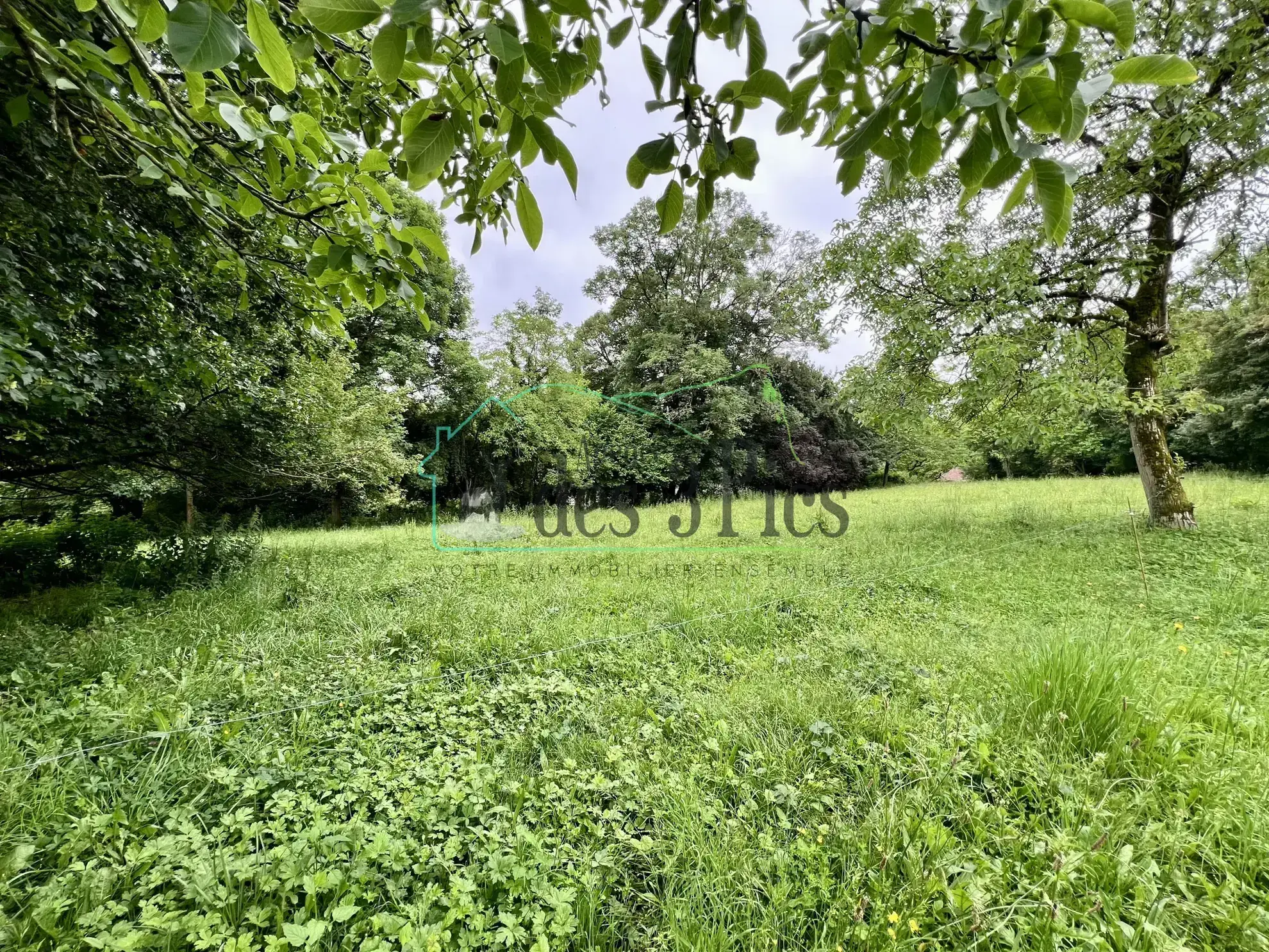 Maison en pierre rénovée avec dépendances et grand jardin à Aspet (31160) 