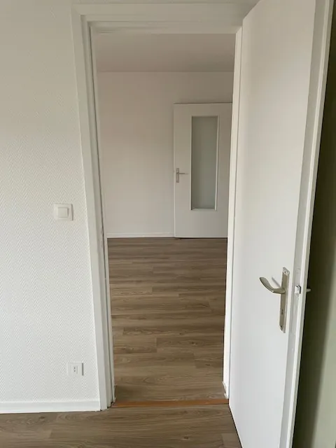 Appartement T3 lumineux avec balcon et cave à Bordeaux - Fondaudege 