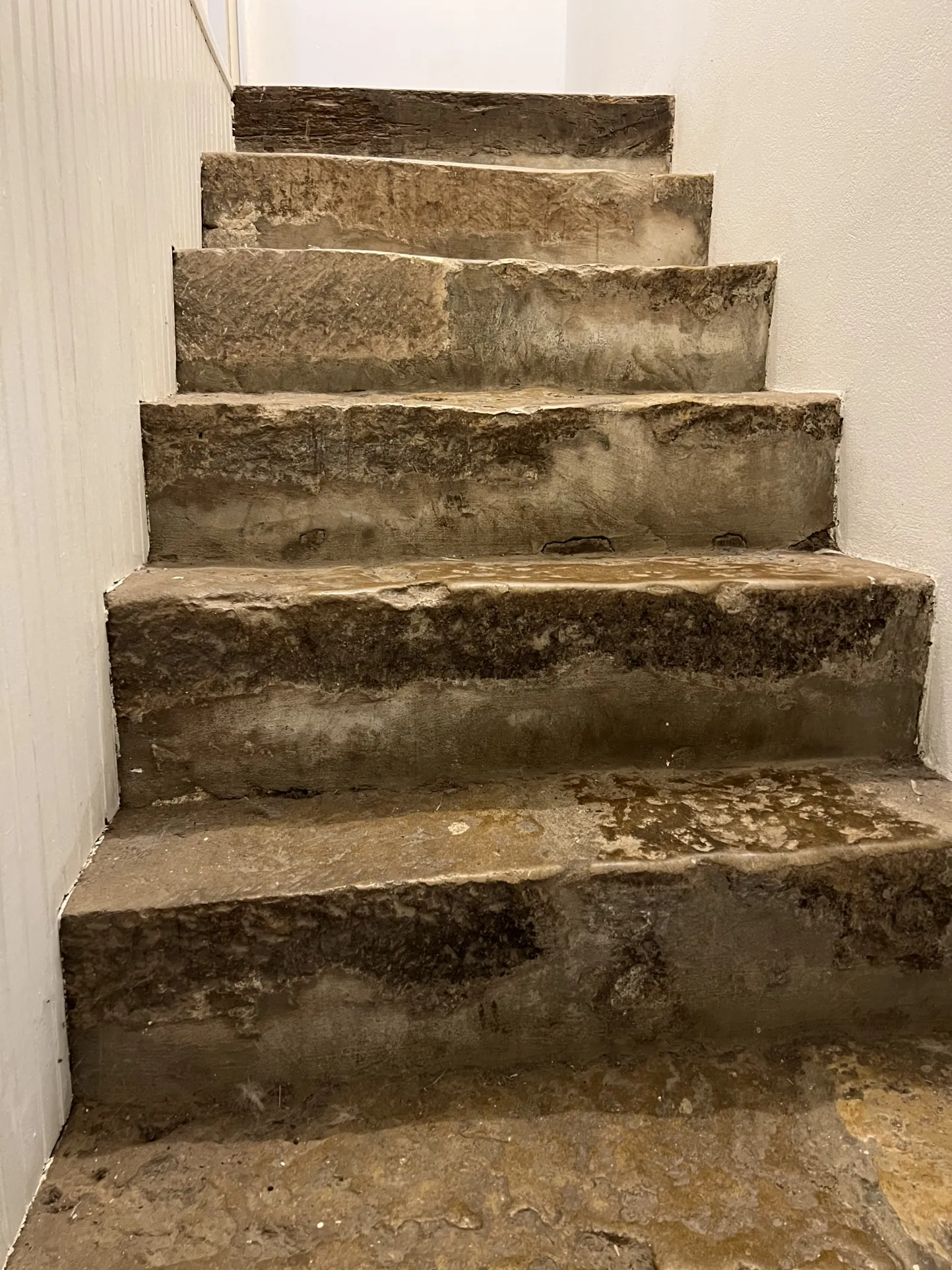 Charmante maison en pierre avec jardin et dépendances à proximité de Saint Jean d'Hermine 