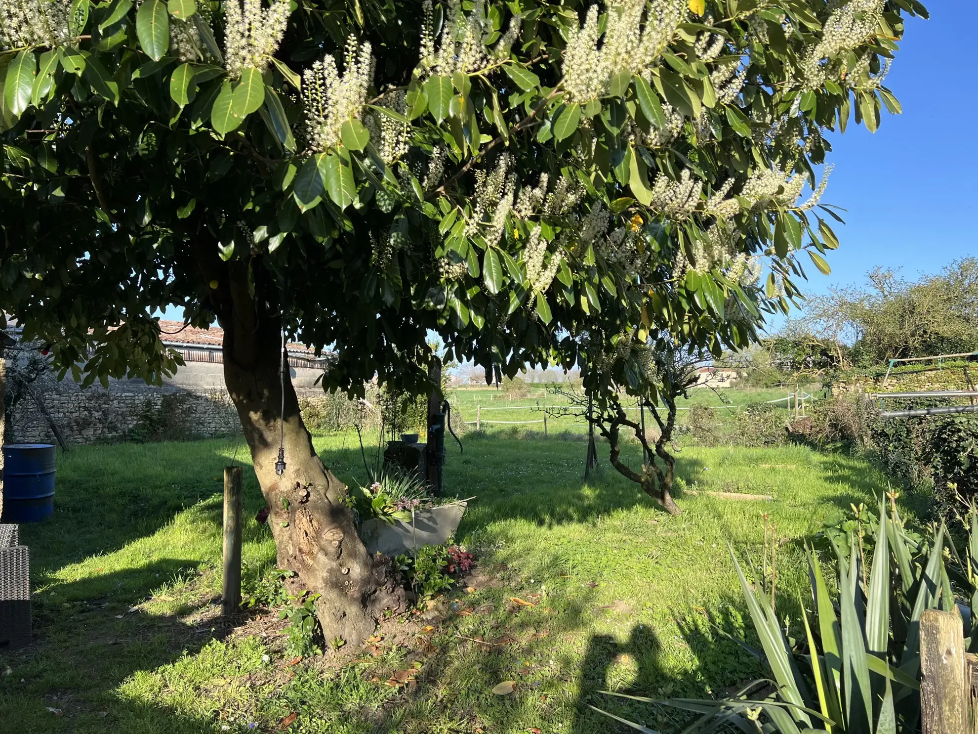 Charmante maison en pierre avec jardin et dépendances à proximité de Saint Jean d'Hermine 