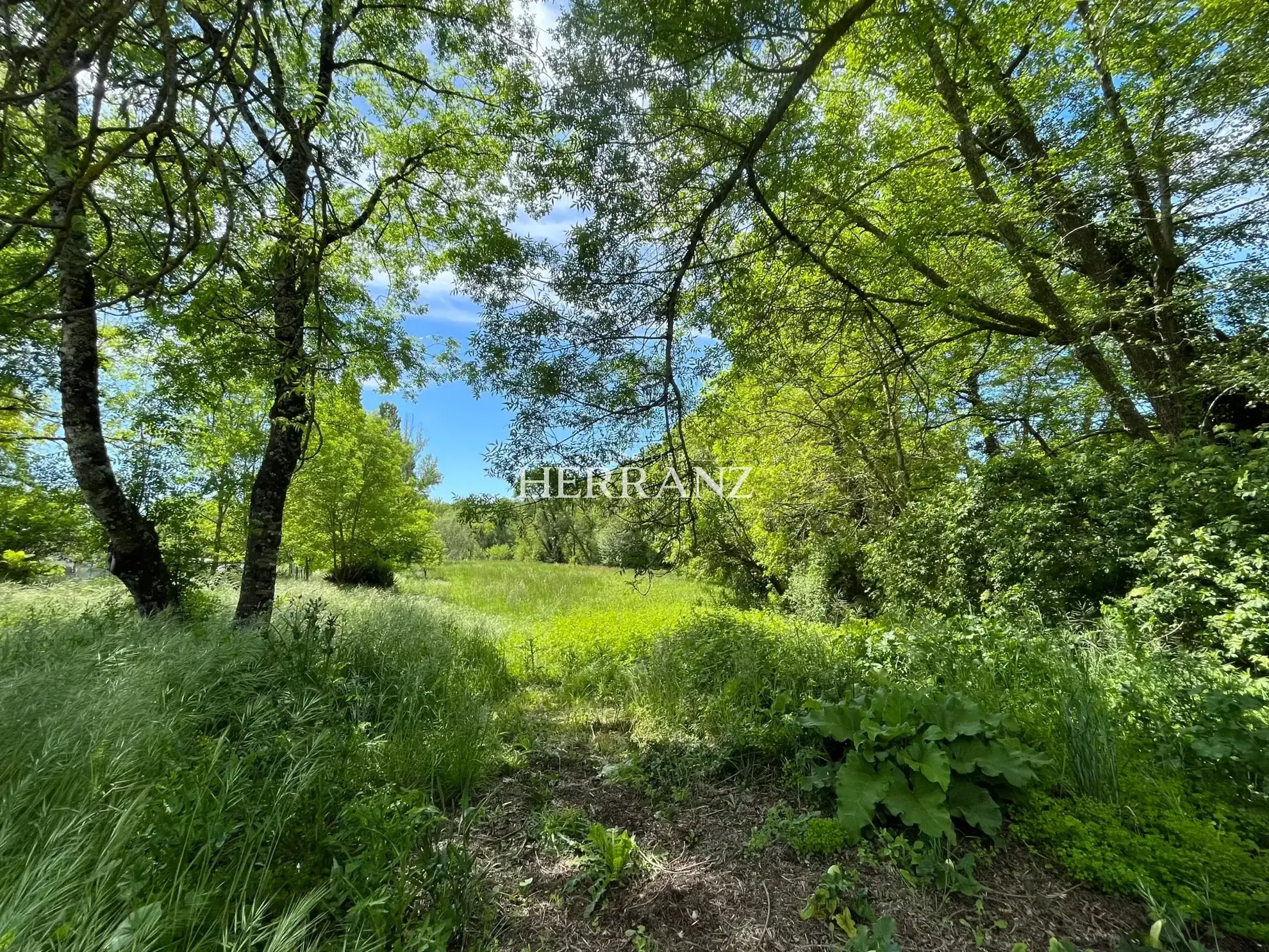 Charmante maison en pierre de 160 m² avec chais et grand terrain à Moulin-Neuf 