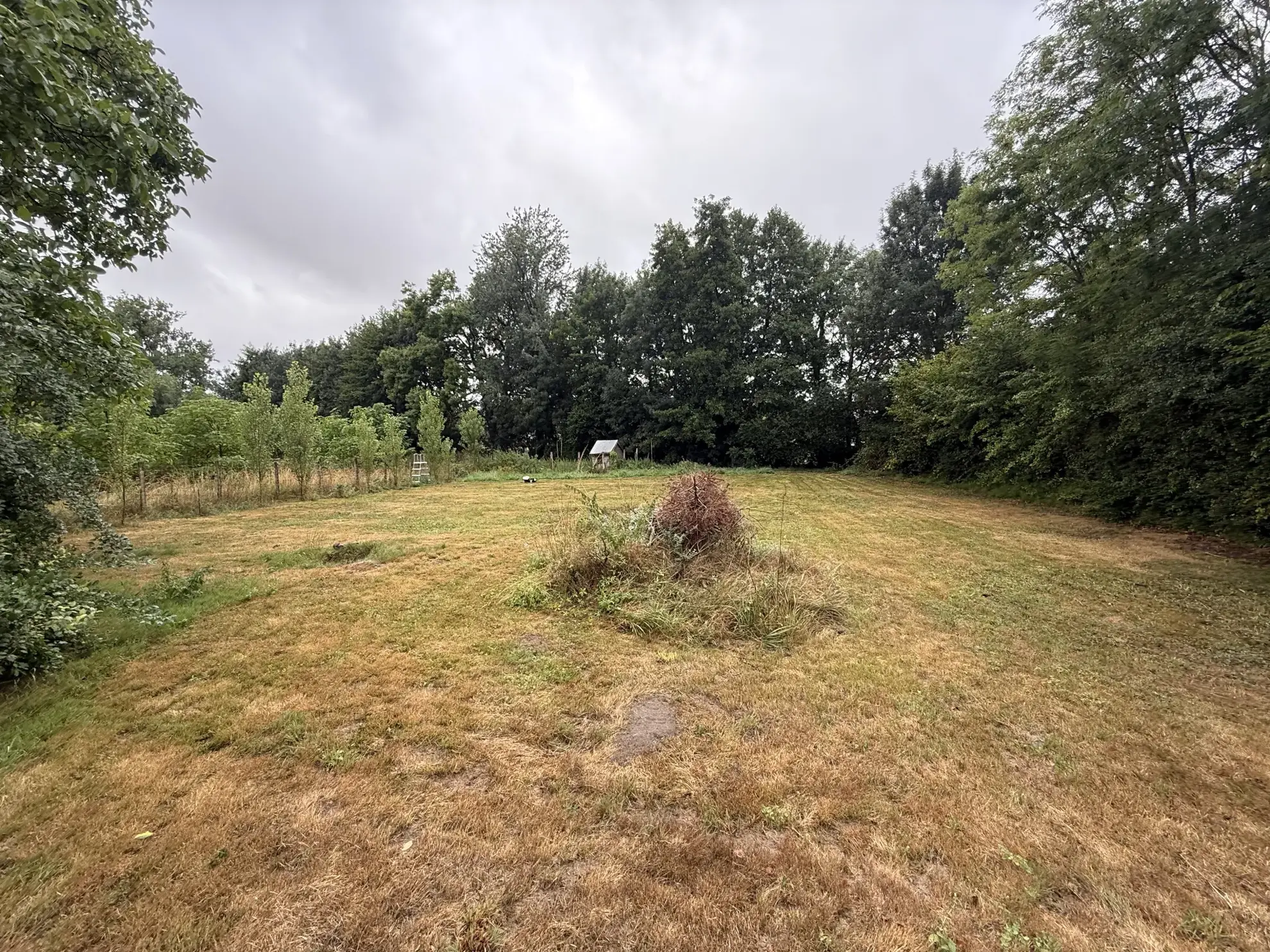 Belle maison de 112 m² avec terrain à Fyé - Immobilier Normandie 