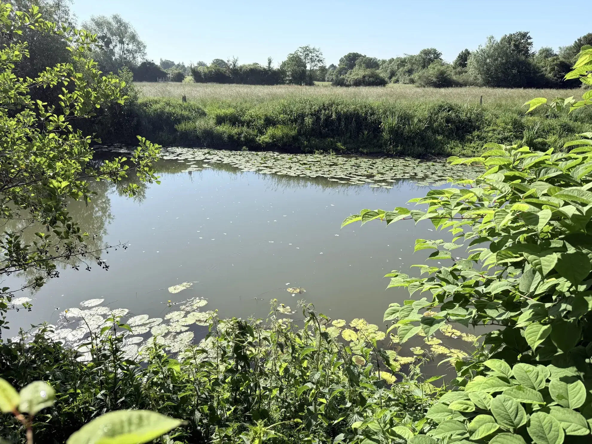 À vendre maison de ville à Alençon 76,87 m² avec jardin 