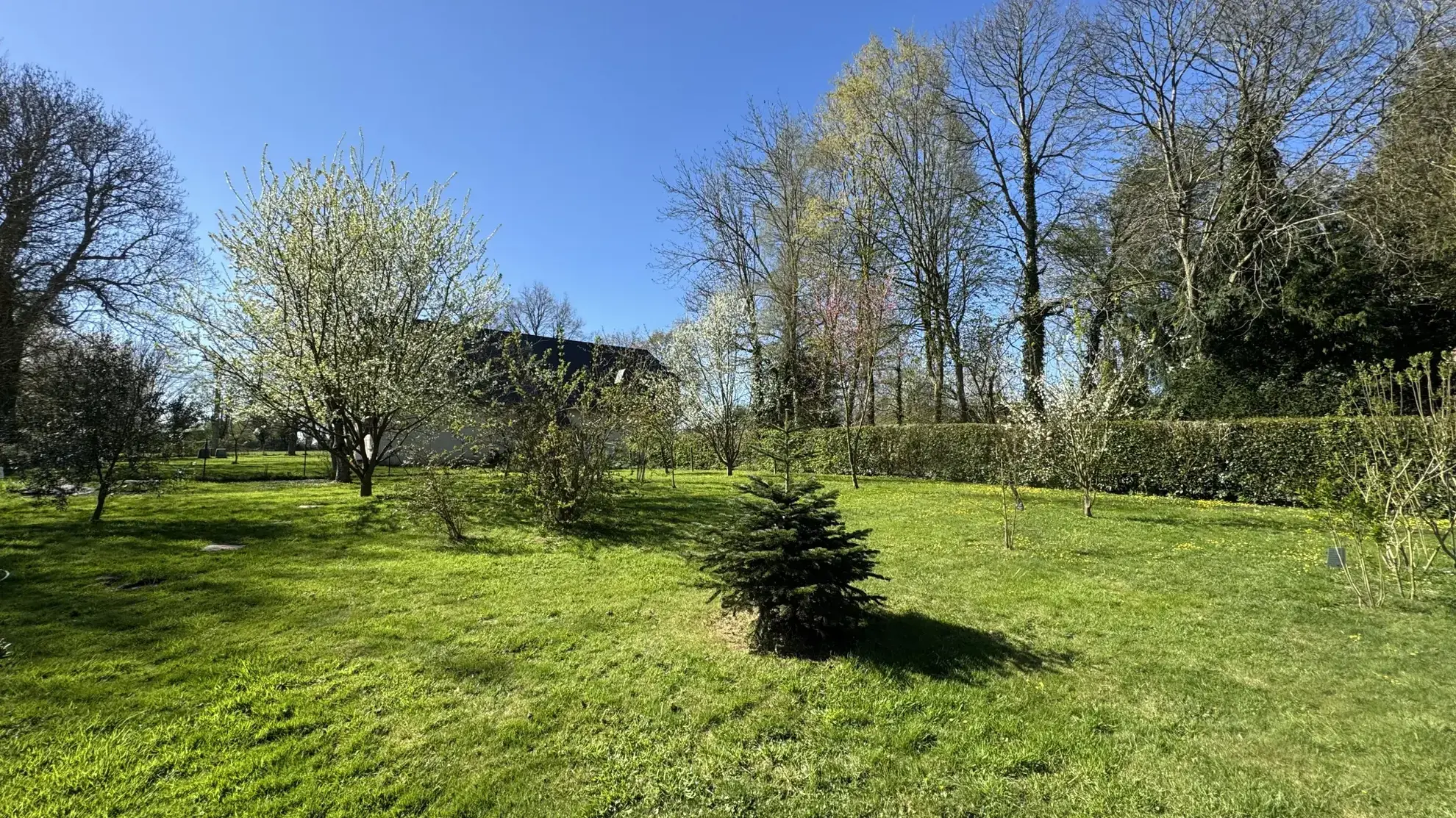 Maison de plain-pied à vendre à Beuzeville, 3 chambres, jardin, calme 