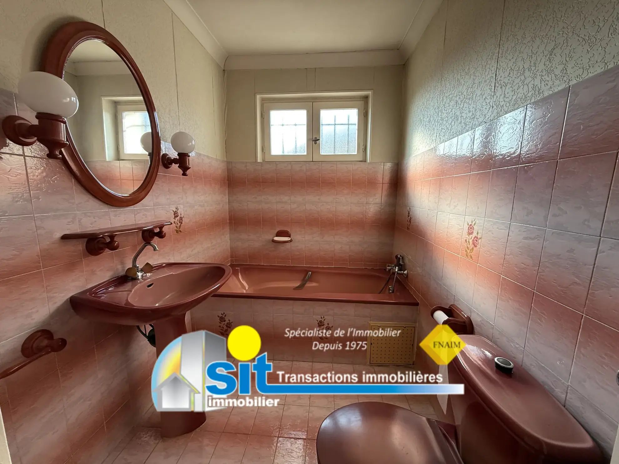 Charmante maison de village à Chonas l'Amballan avec grand potentiel 