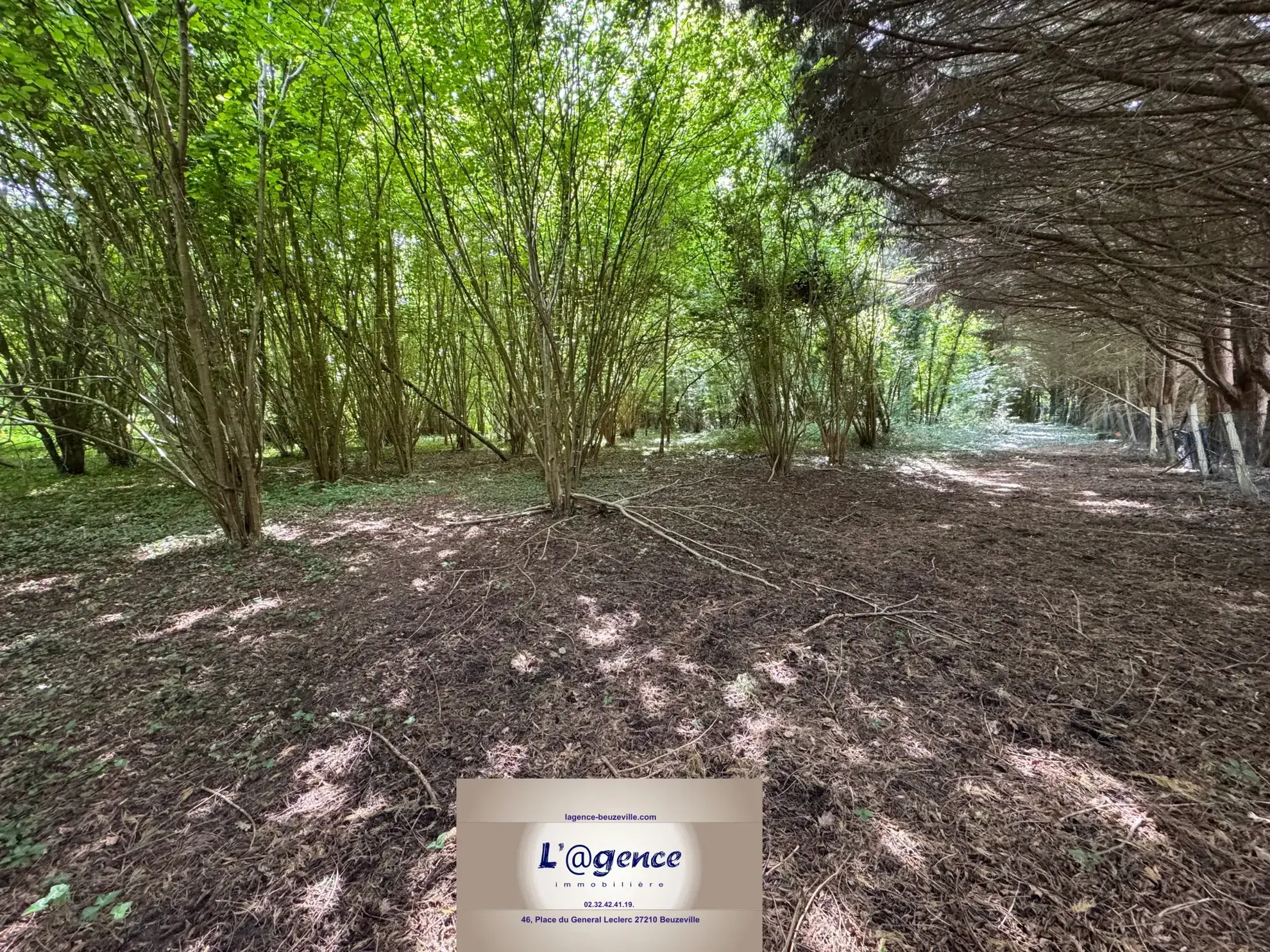 Terrain boisé non constructible de 4500 m² à Beuzeville, calme et sans nuisances