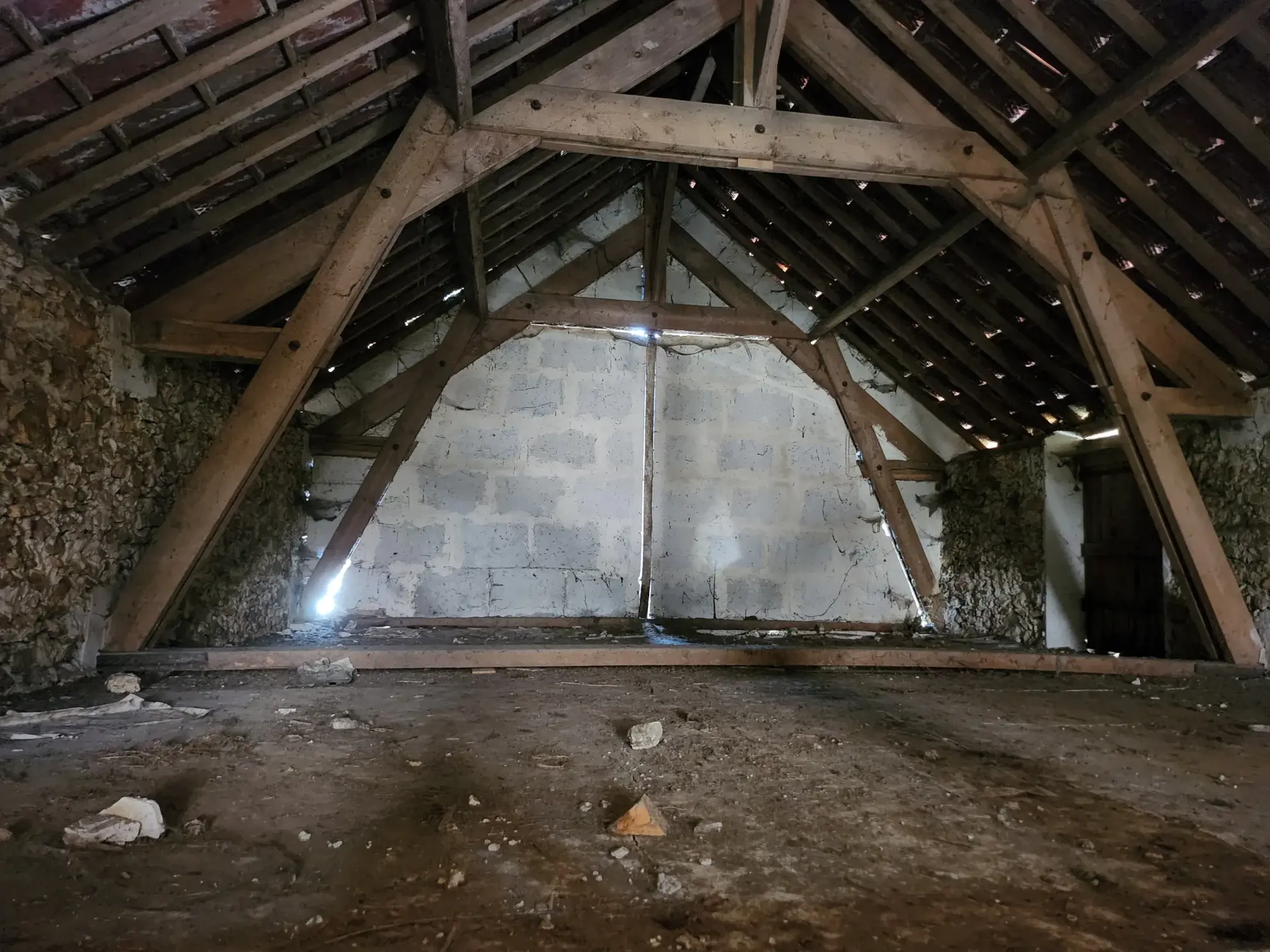 Grange à rénover à Flexanville - Surface et potentiel d'aménagement 