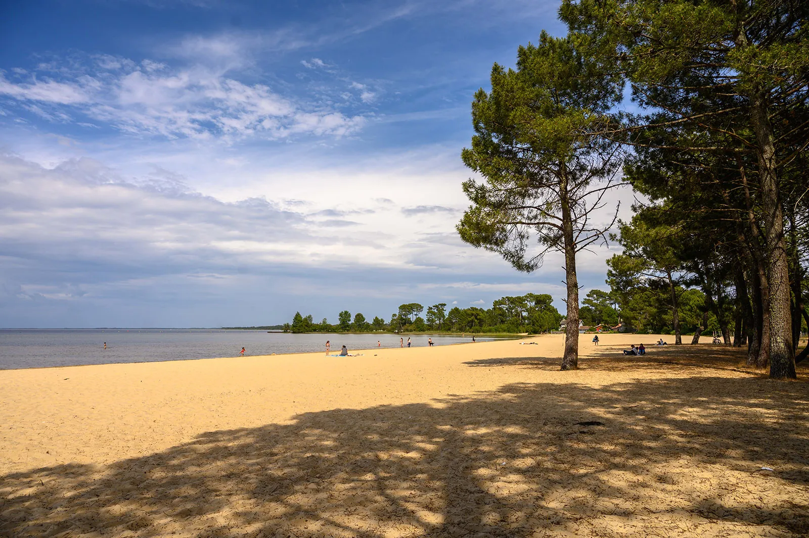 Terrain constructible de 877 m² à Sanguinet proche du lac, calme et sans vis-à-vis