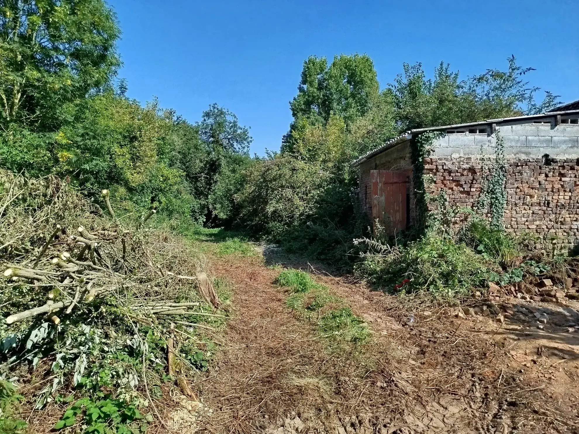 Terrain de loisir de 1800 m² à Berneuil, environnement naturel et calme 