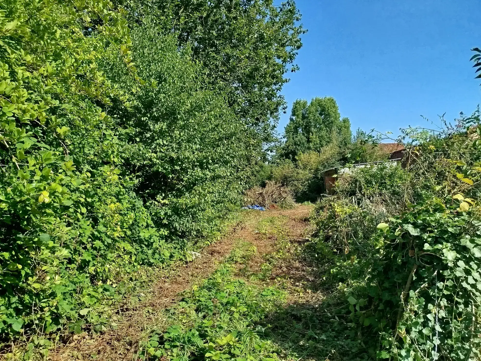 Terrain de loisir de 1800 m² à Berneuil, environnement naturel et calme 