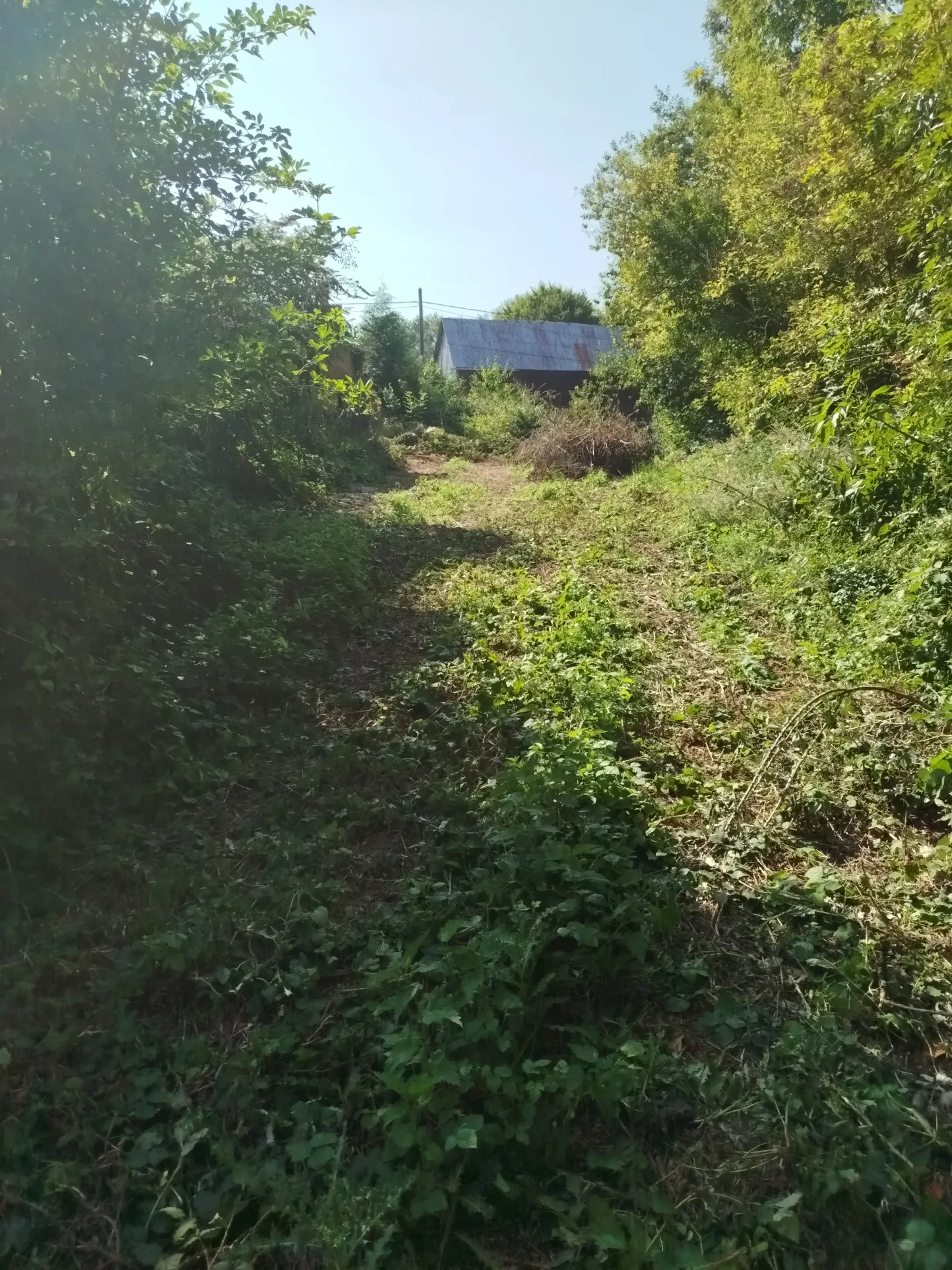 Terrain de loisir de 1800 m² à Berneuil, environnement naturel et calme 