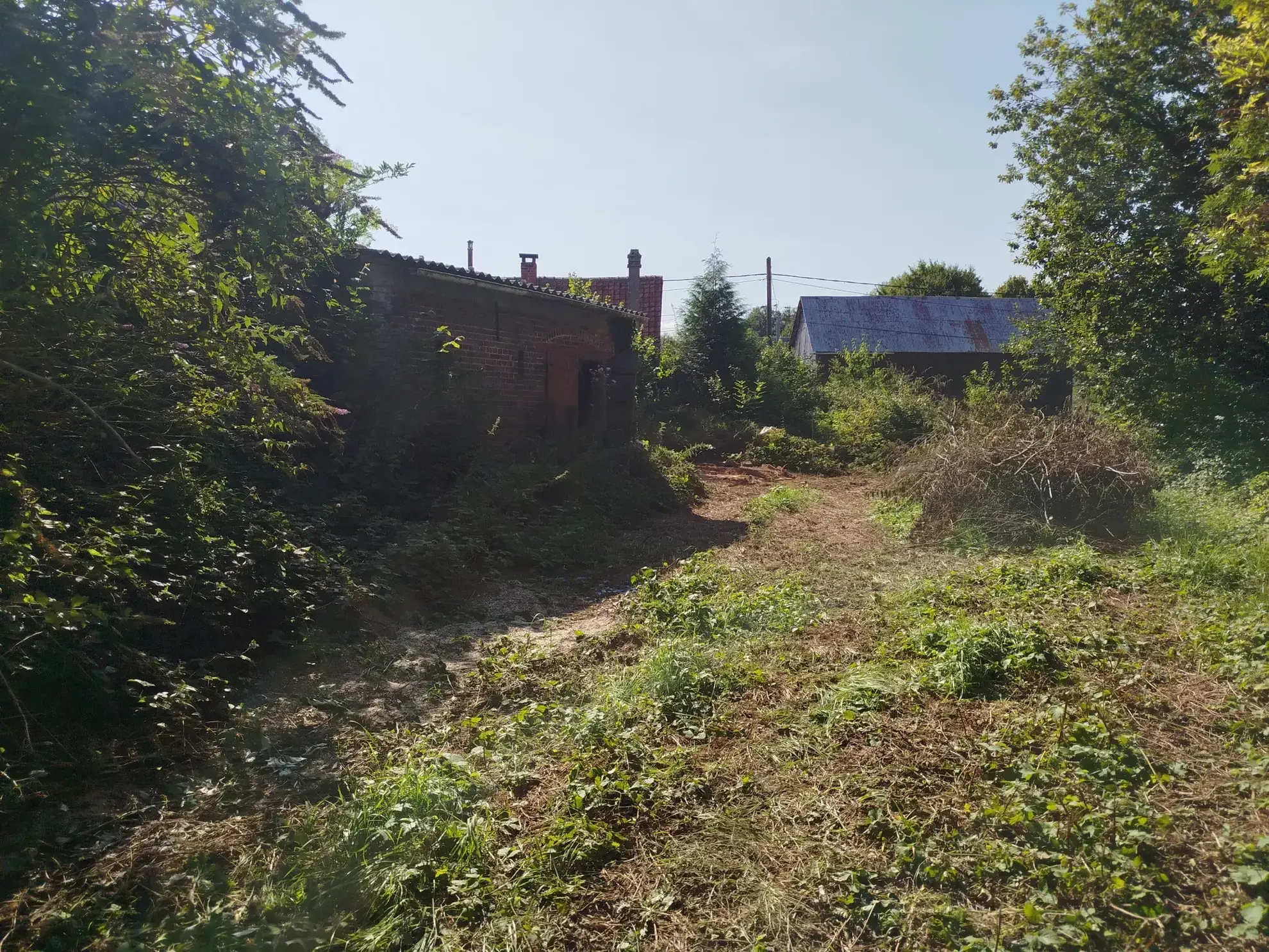 Terrain de loisir de 1800 m² à Berneuil, environnement naturel et calme 