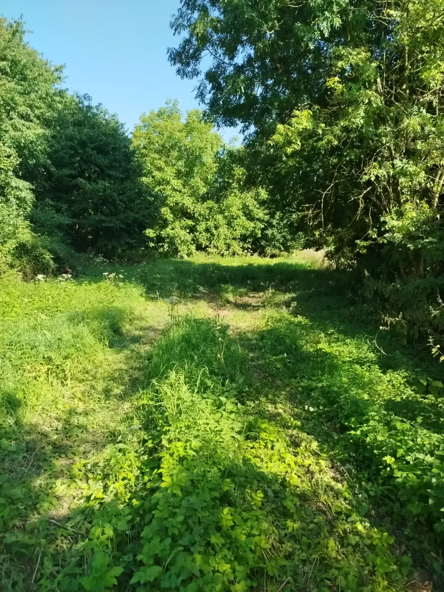 Terrain de loisir de 1800 m² à Berneuil, environnement naturel et calme 