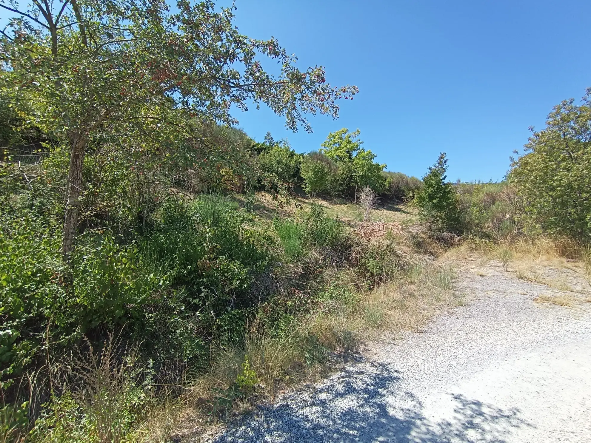 Terrain constructible de 877 m² à Privas - Vue dégagée et environnement calme 