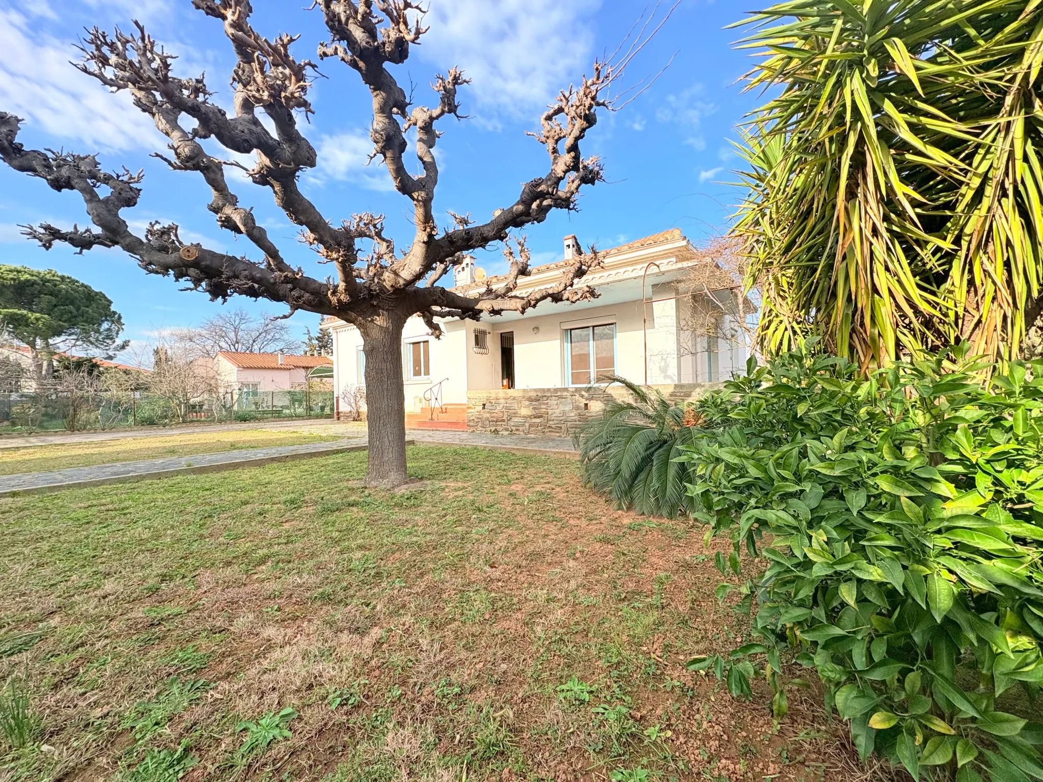 Maison de plain-pied à Thuir avec 4 chambres, garage et terrain de 670 m² 