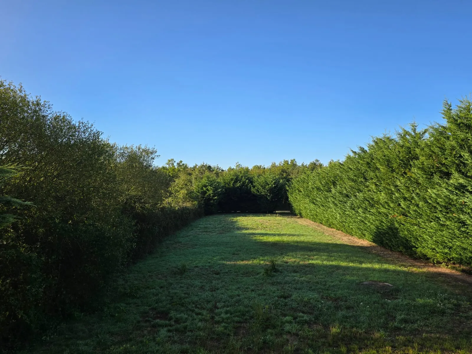 Maison de 214 m² avec potentiel à Sallertaine, proche Leclerc 