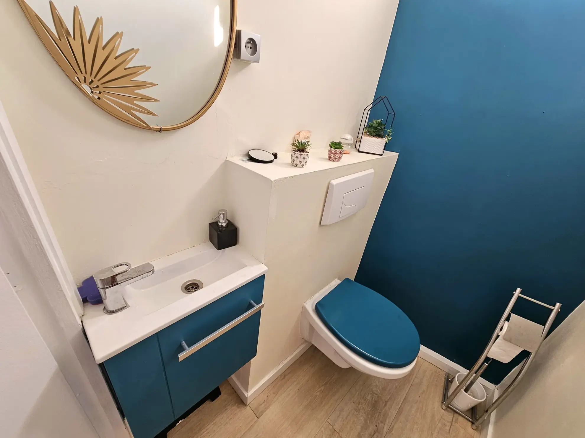 Charmante maison rénovée avec ascenseur et jardin à Firminy 