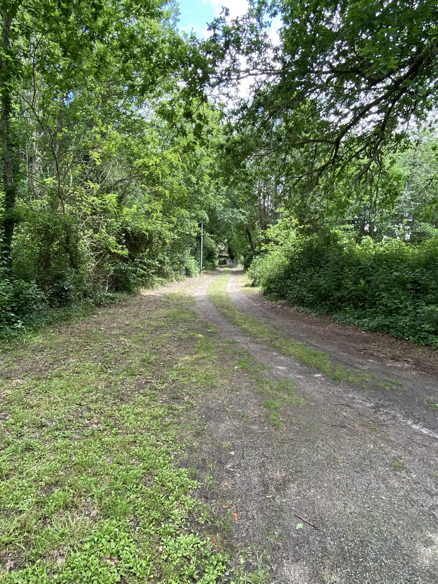 Maison à vendre à 10 km de Langon, au cœur de la forêt dans le Sauternais 