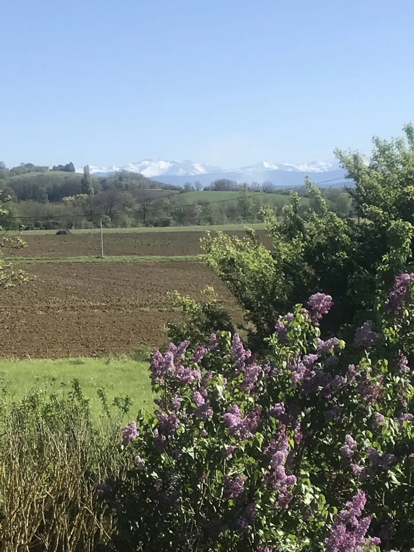 Maison à rénover avec dépendances et vue sur les Pyrénées à Lézat-sur-Lèze 