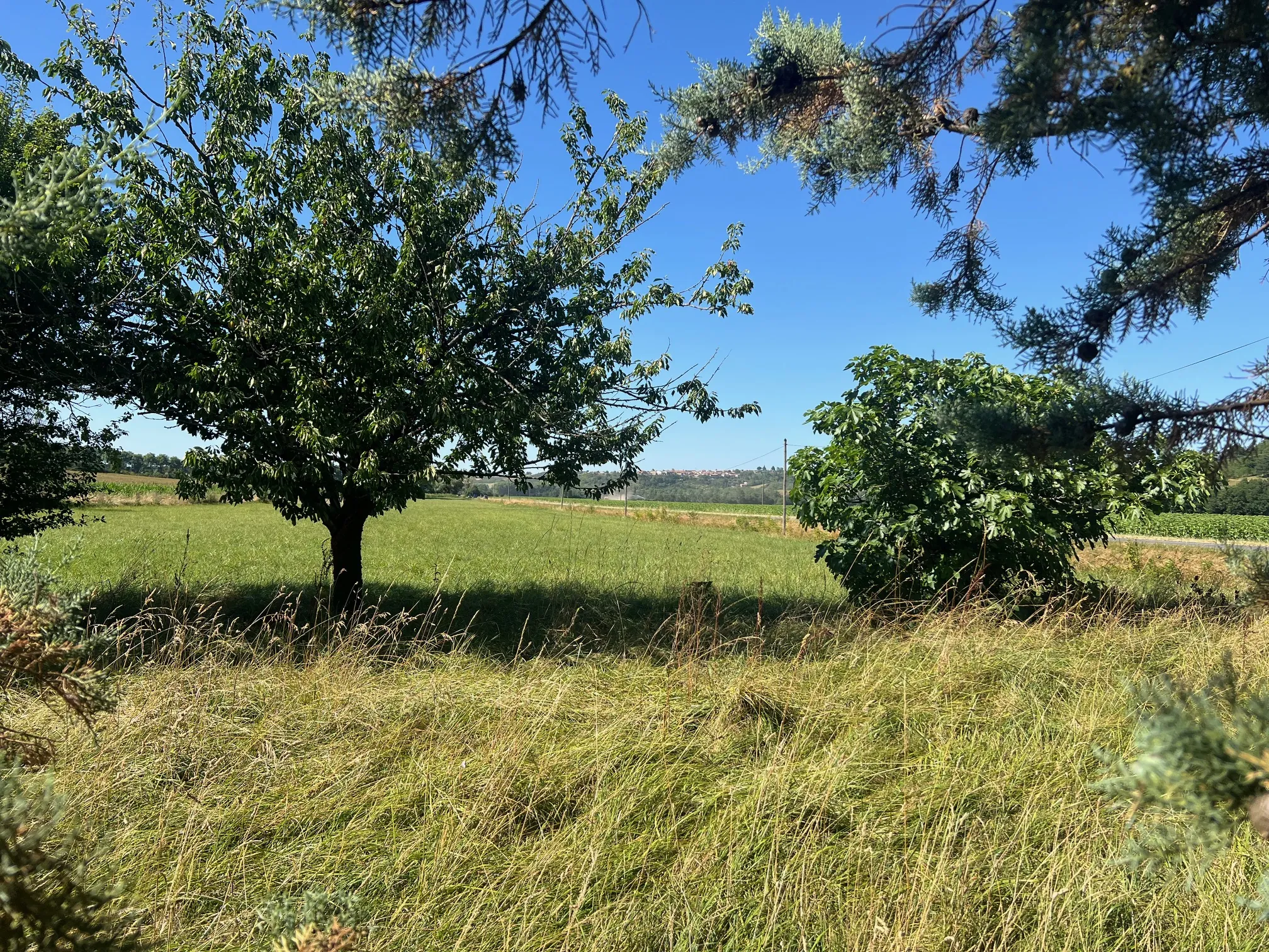 Maison à rénover avec dépendances et vue sur les Pyrénées à Lézat-sur-Lèze 
