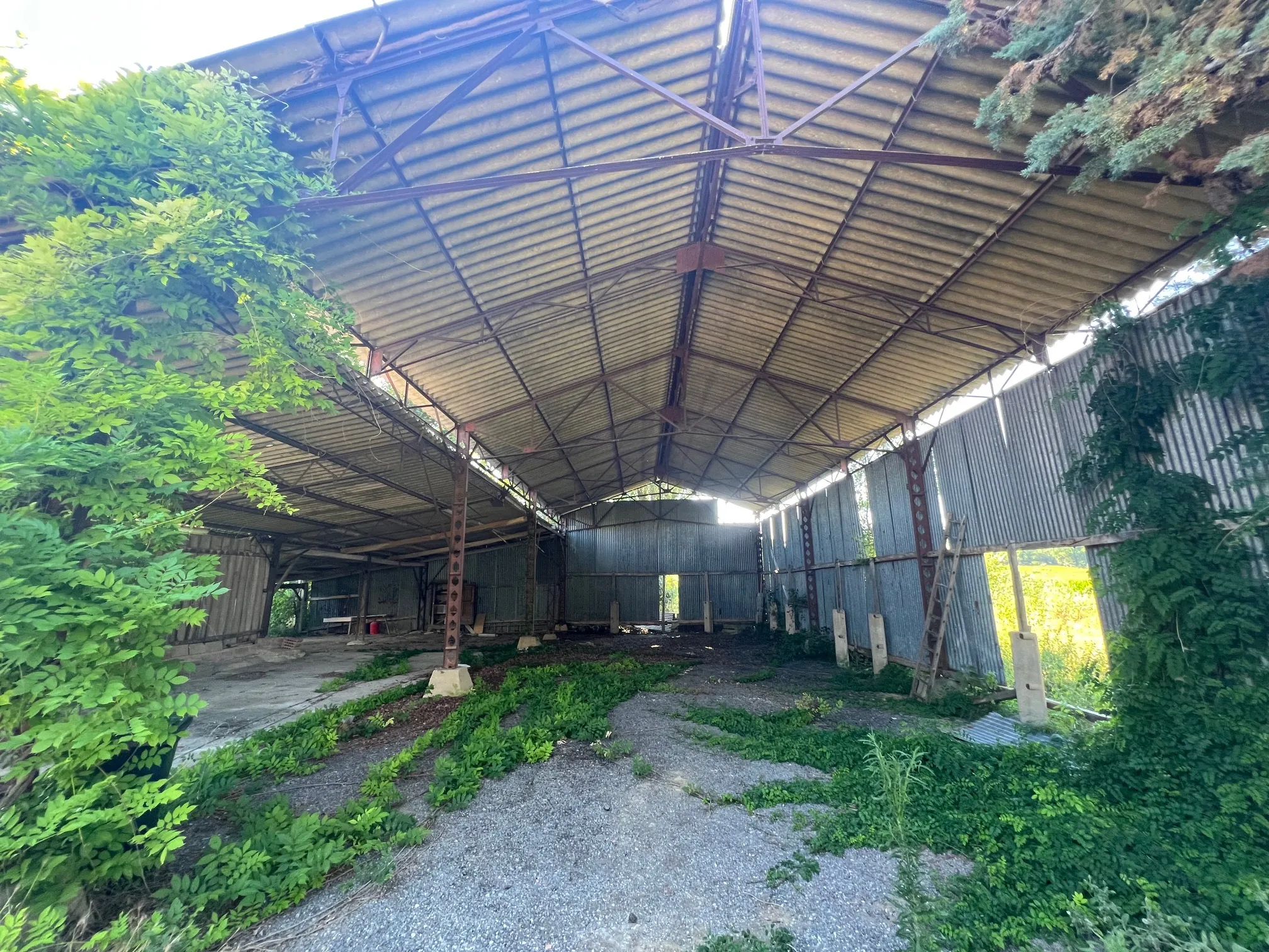 Maison à rénover avec dépendances et vue sur les Pyrénées à Lézat-sur-Lèze 