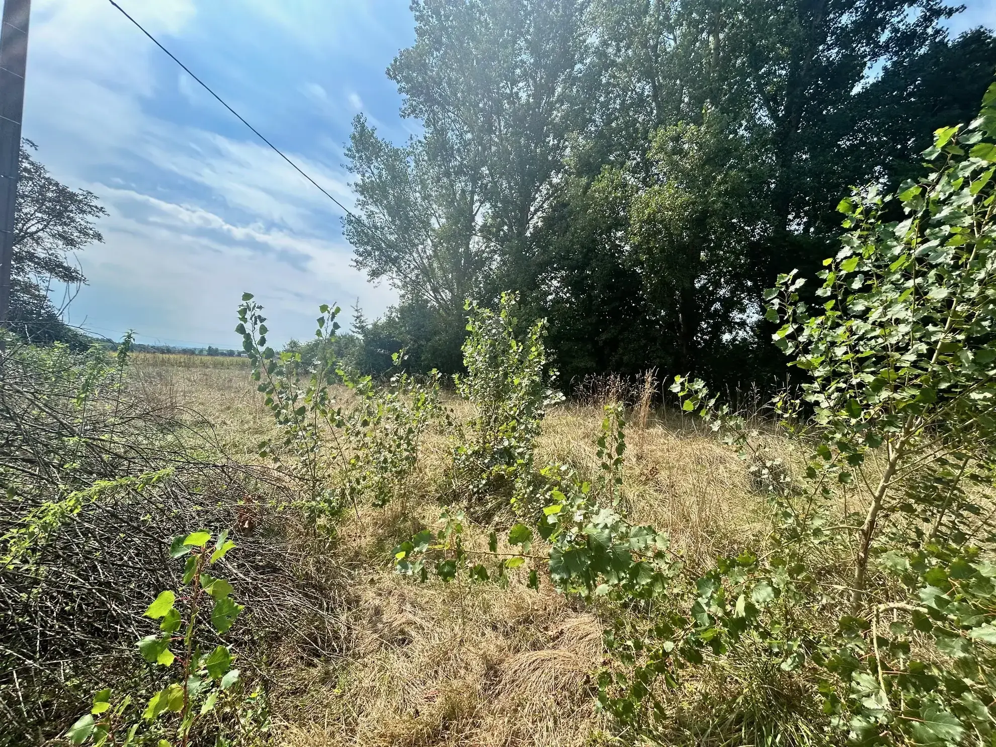 Maison de campagne à rénover avec dépendances et vue Pyrénées à Lézat-sur-Lèze 