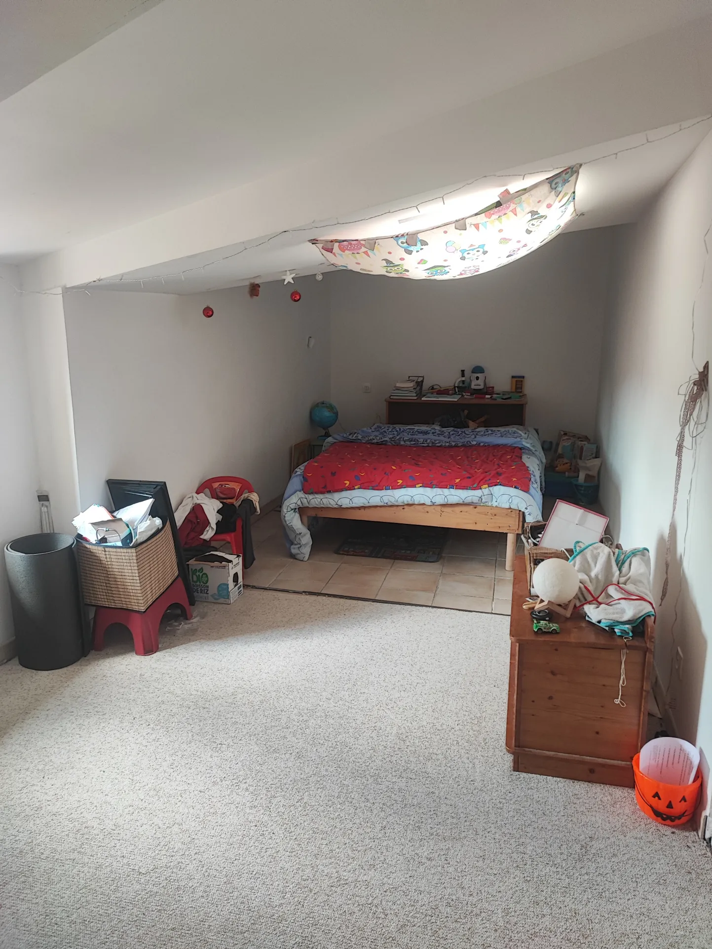 Maison de village avec local commercial à Peyriac Minervois - Investissement rentable 