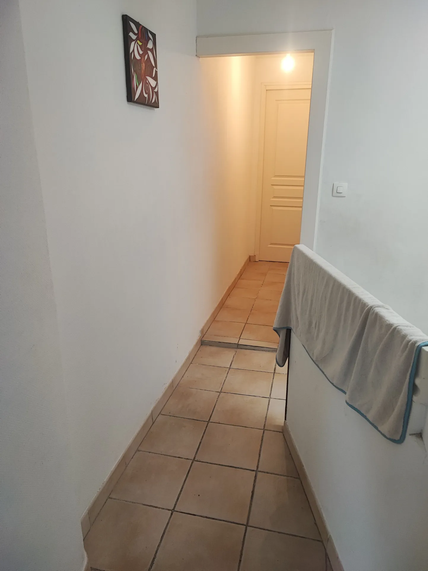 Maison de village avec local commercial à Peyriac Minervois - Investissement rentable 